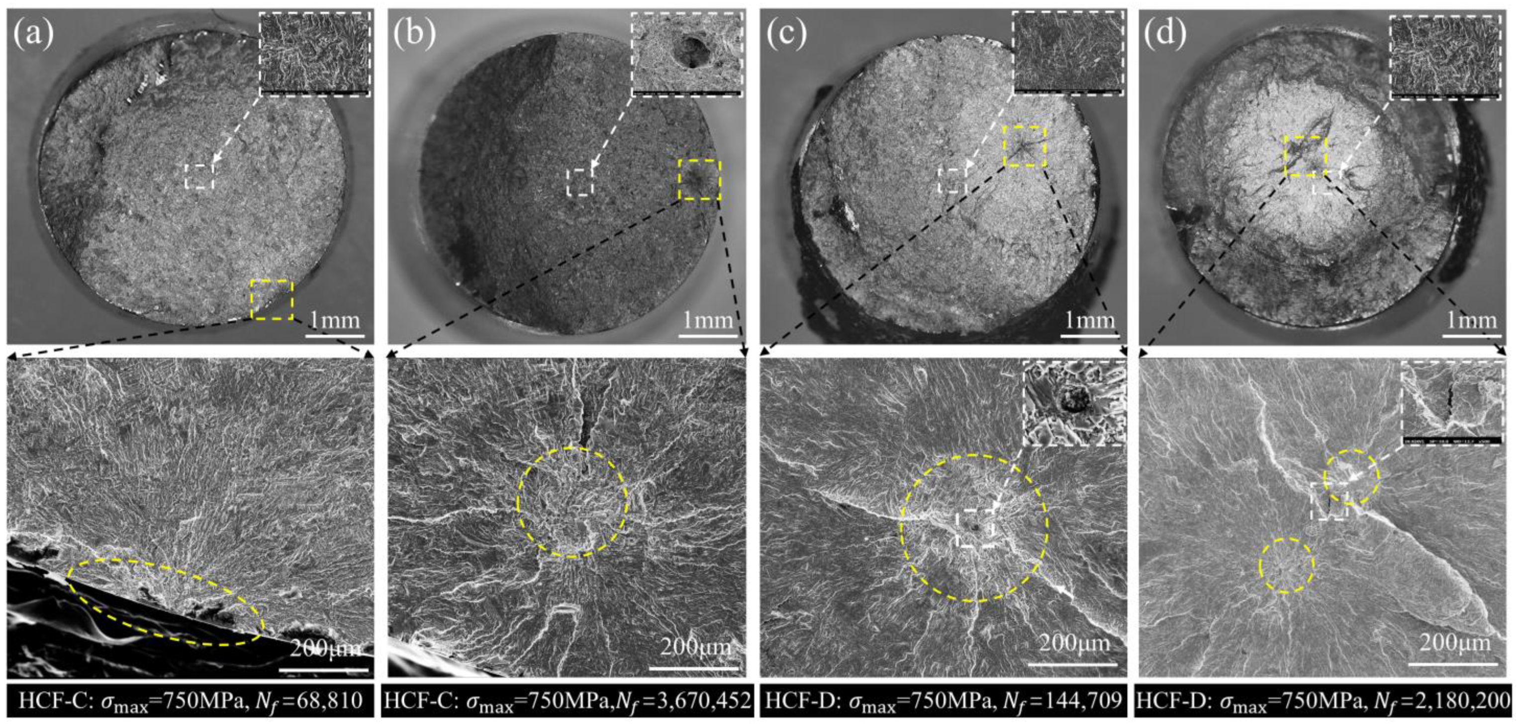 Metals 14 01350 g006