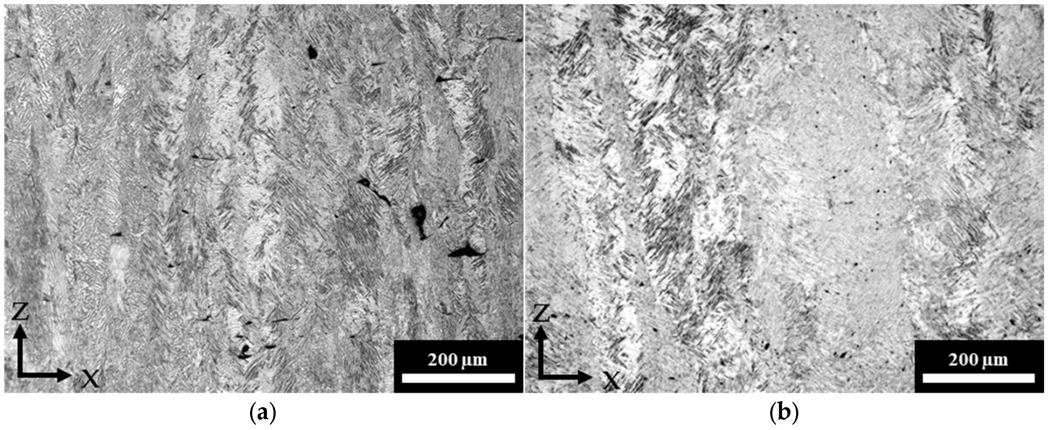 Metals 14 01357 g006