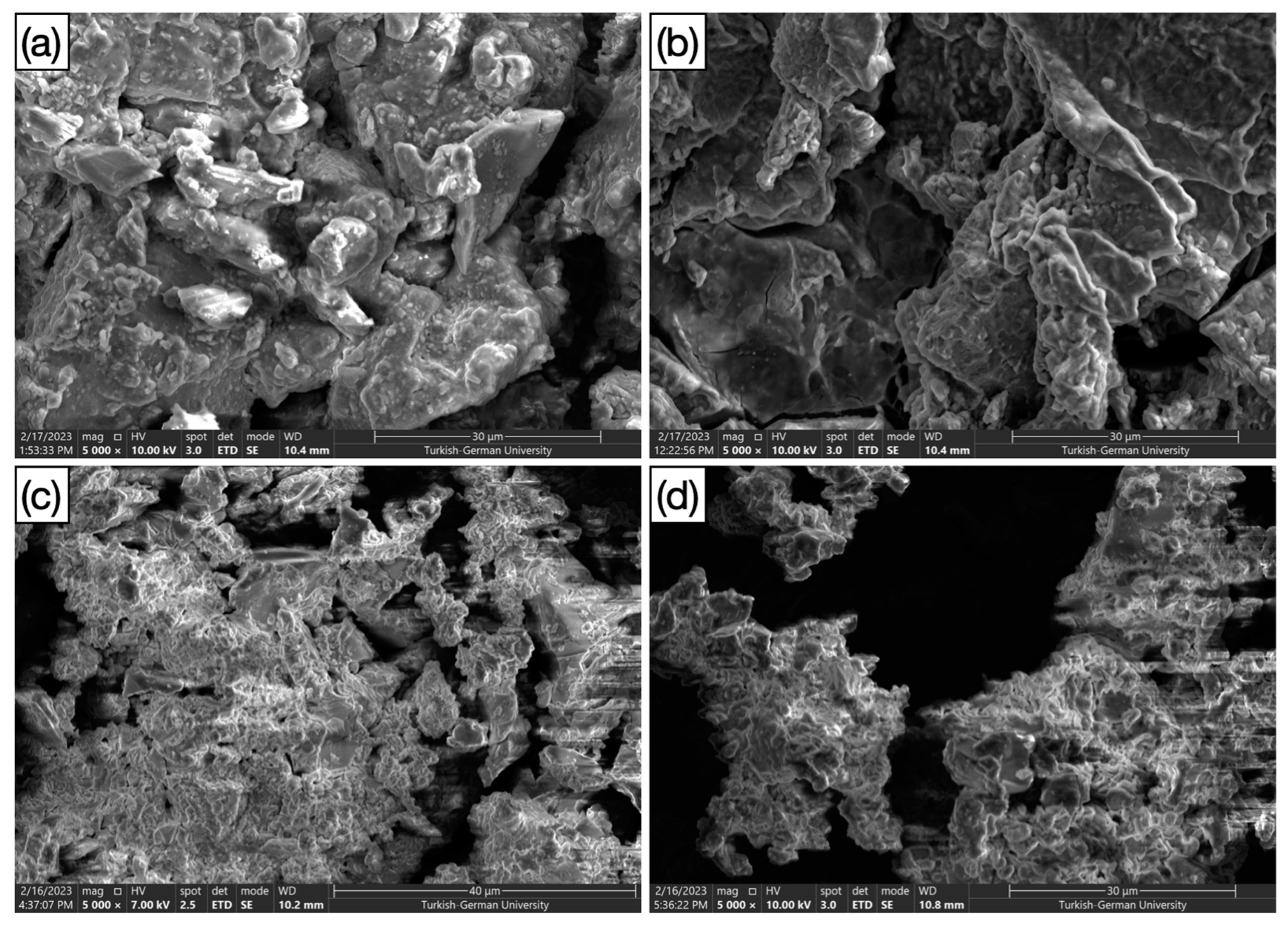 Metals 14 01363 g006