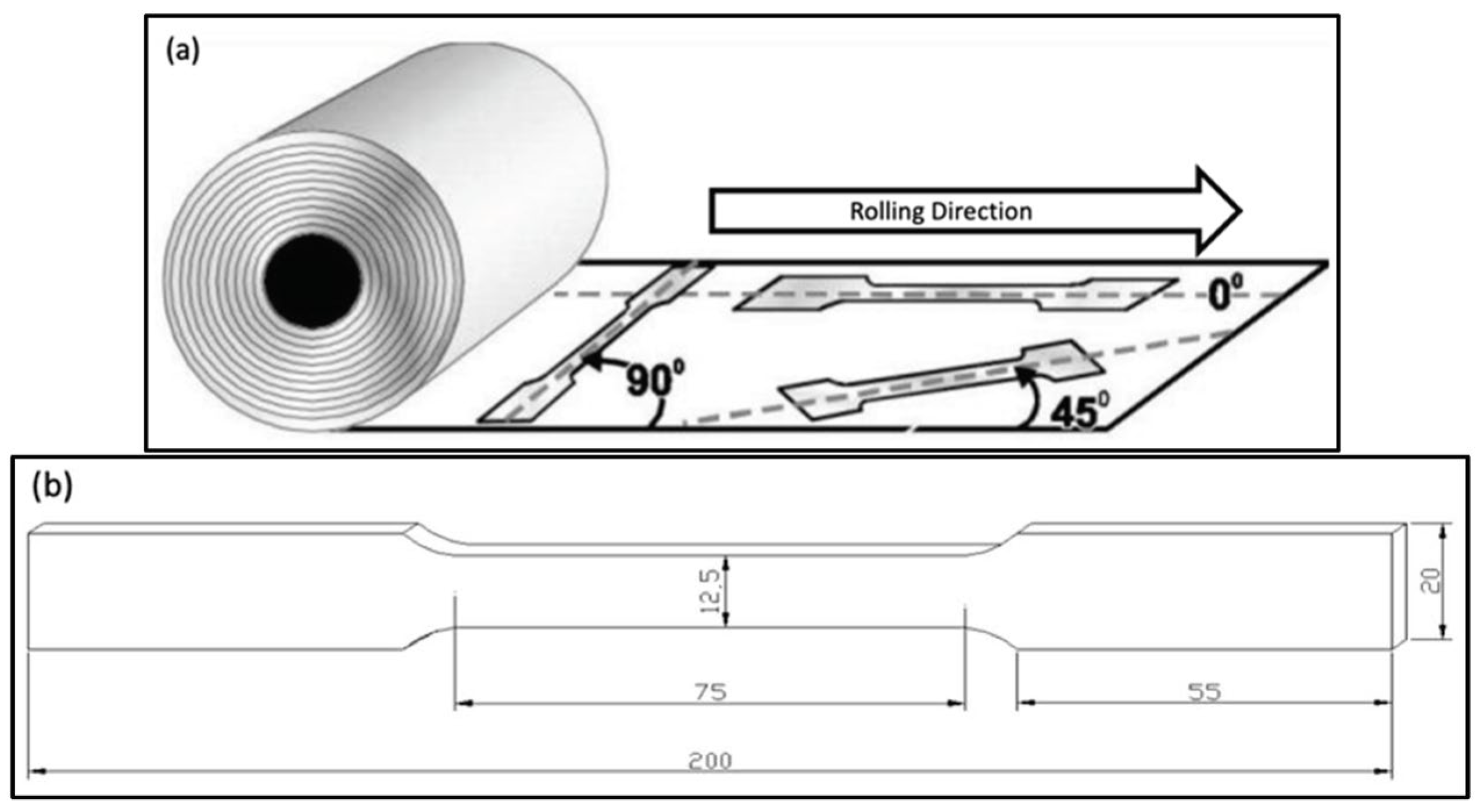 Metals 14 01365 g005