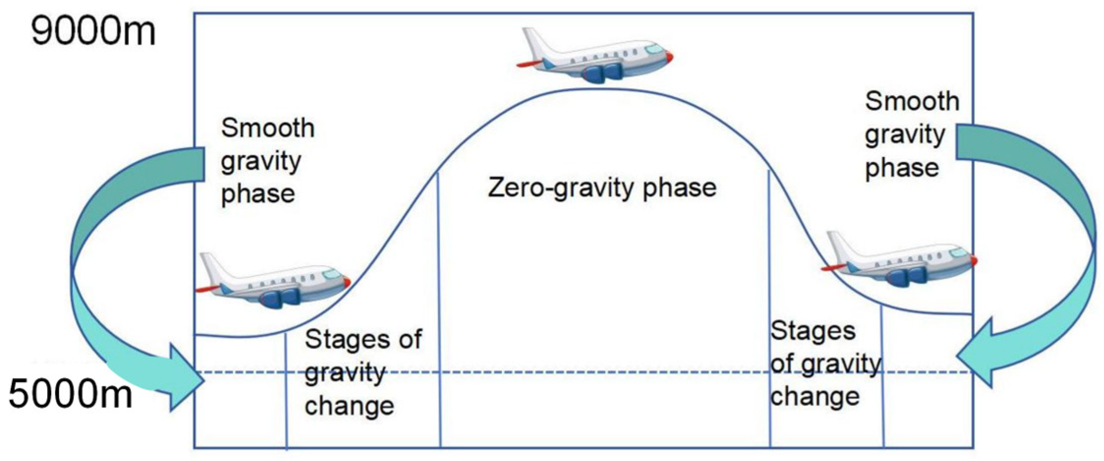 Metals 14 01373 g006