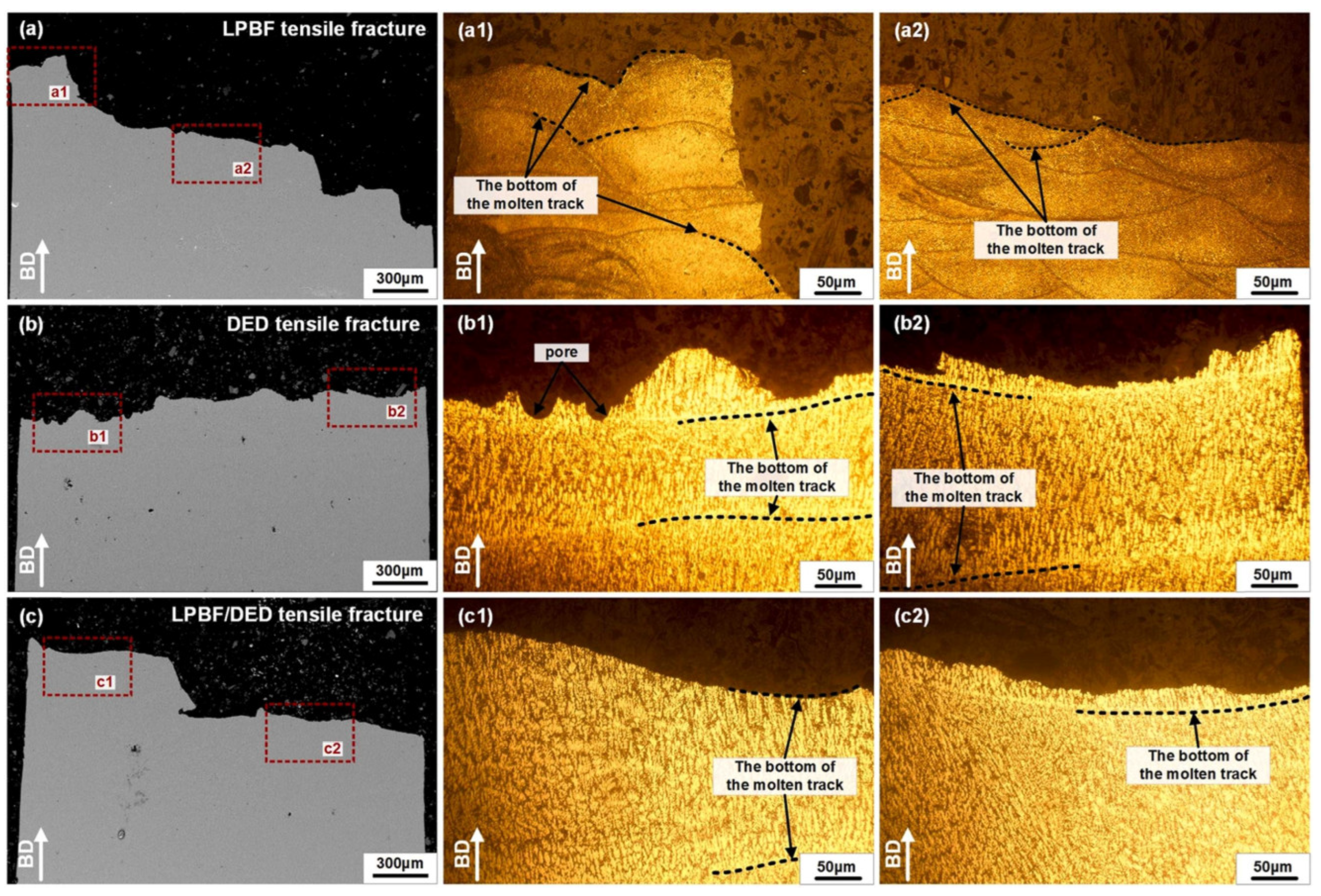 Metals 14 01373 g018