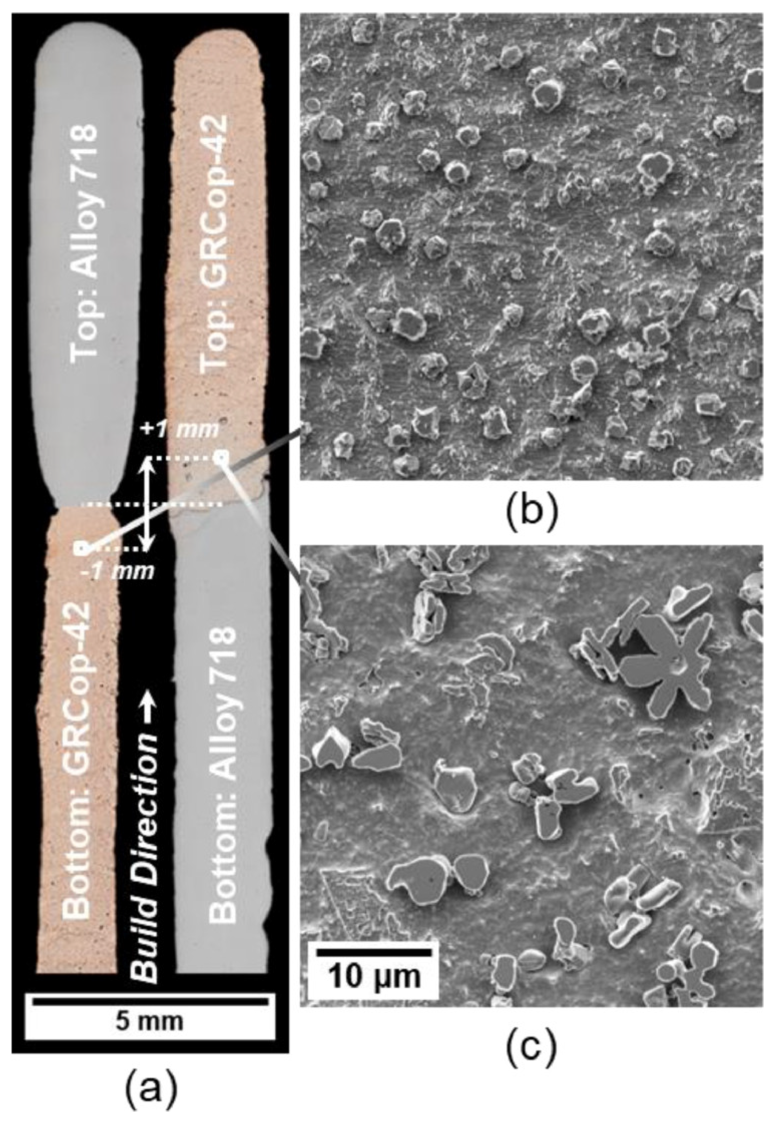 Metals 14 01373 g031