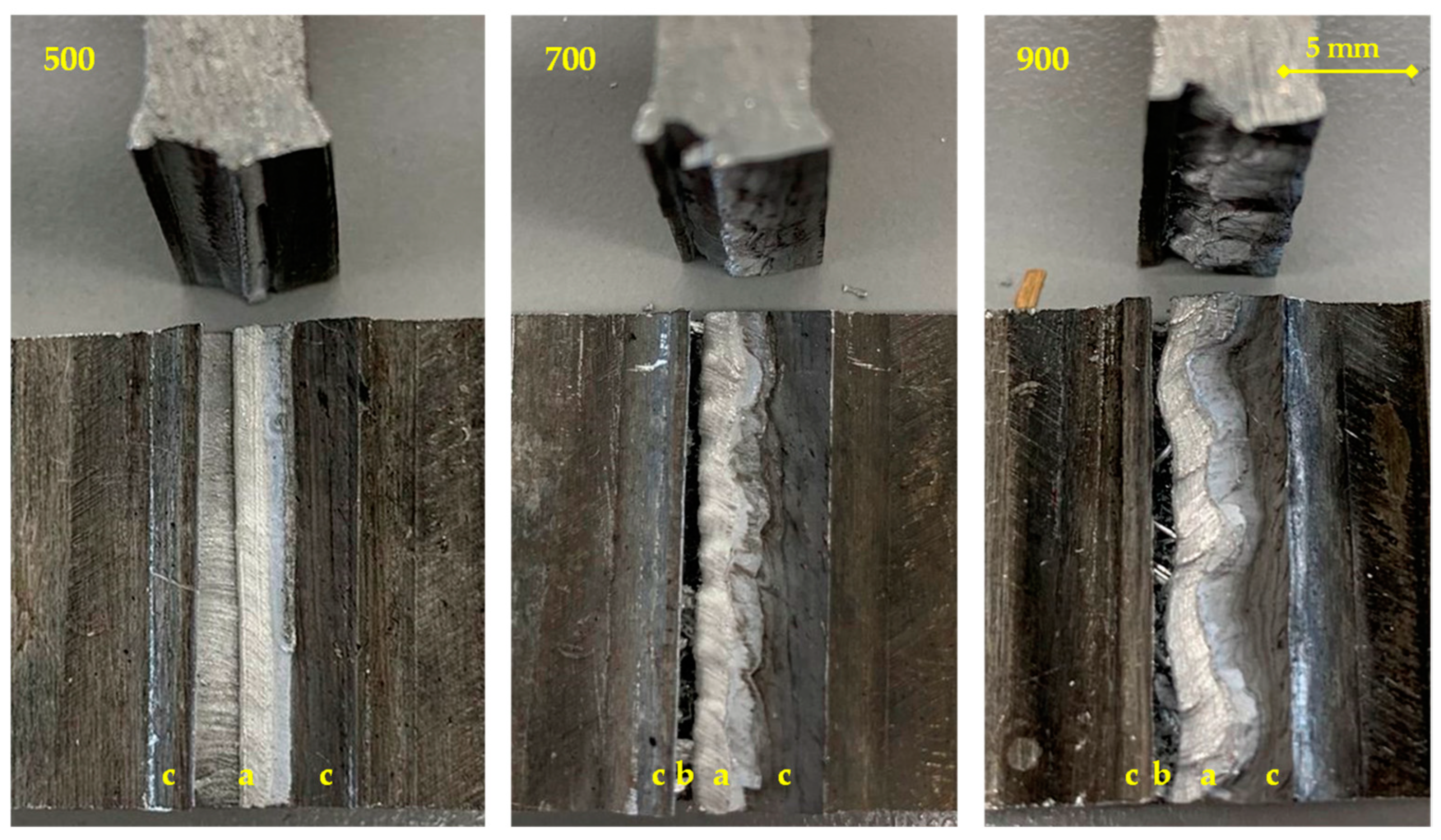 Metals 14 01410 g010