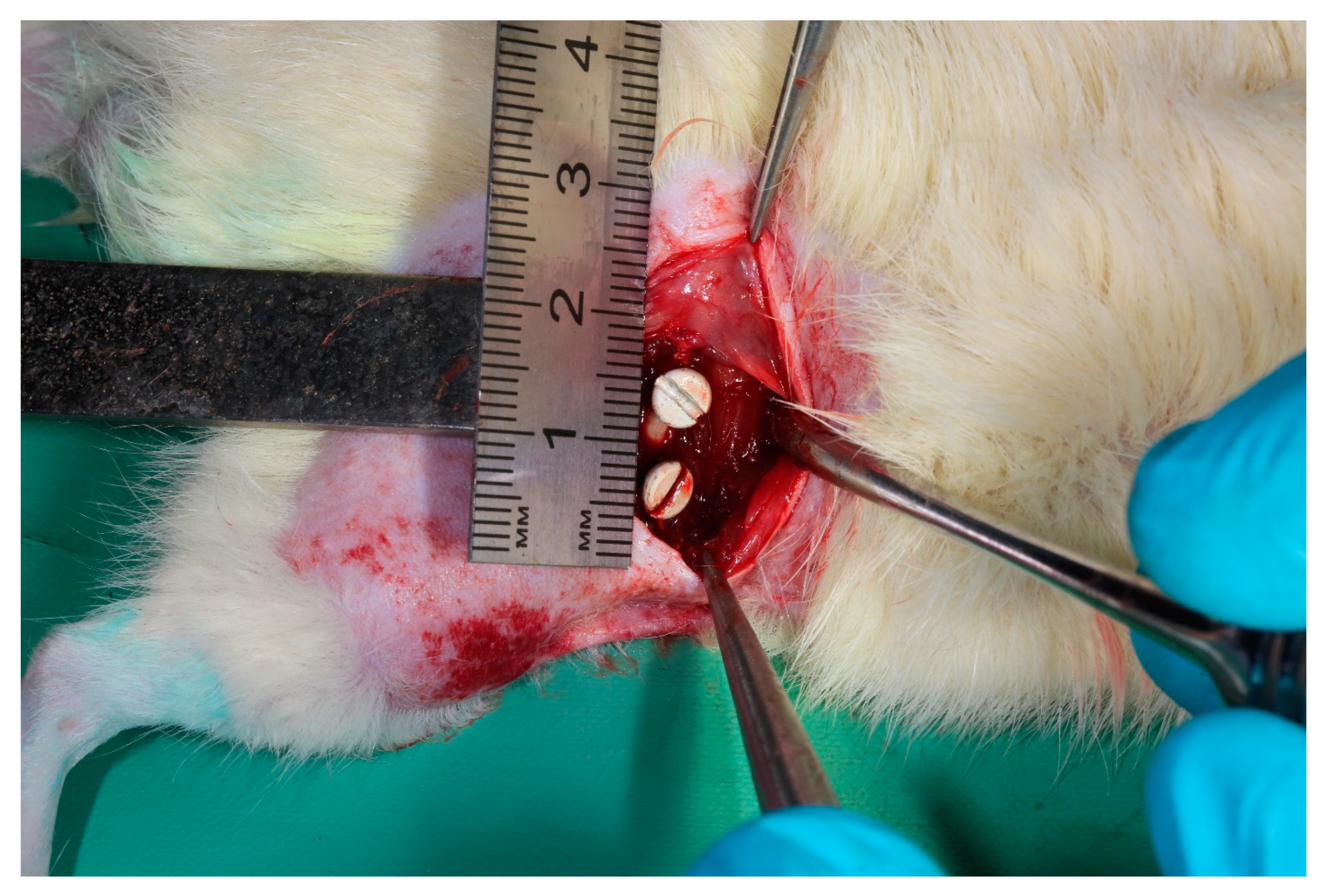 Metals 14 01411 g001