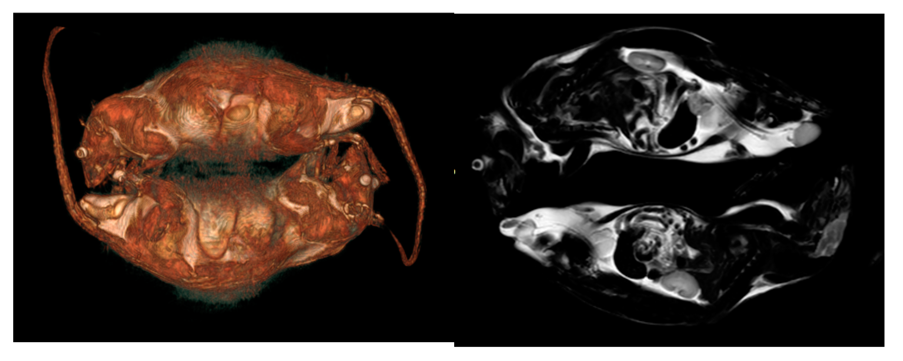 Metals 14 01411 g002