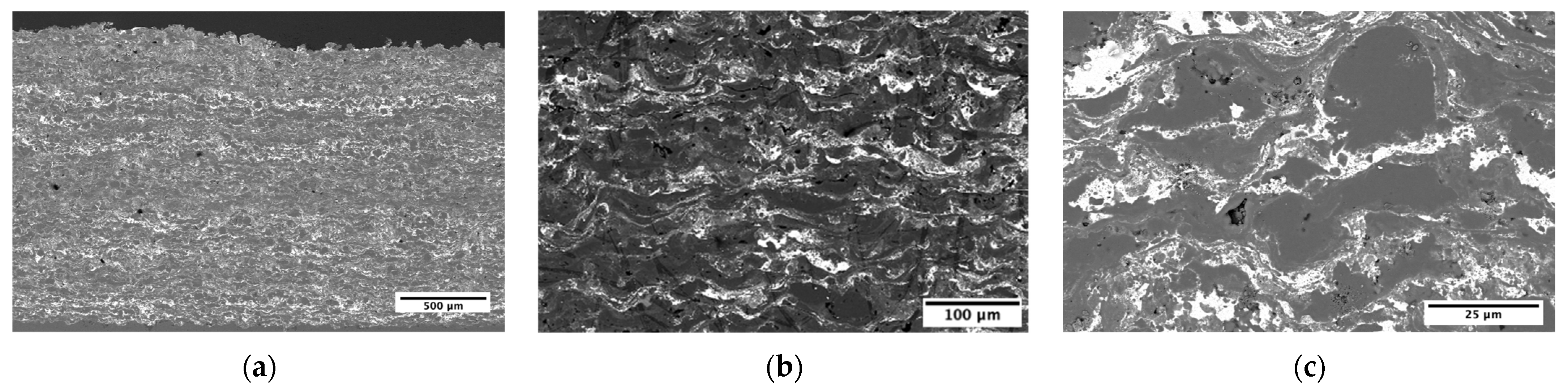 Metals 14 01414 g006