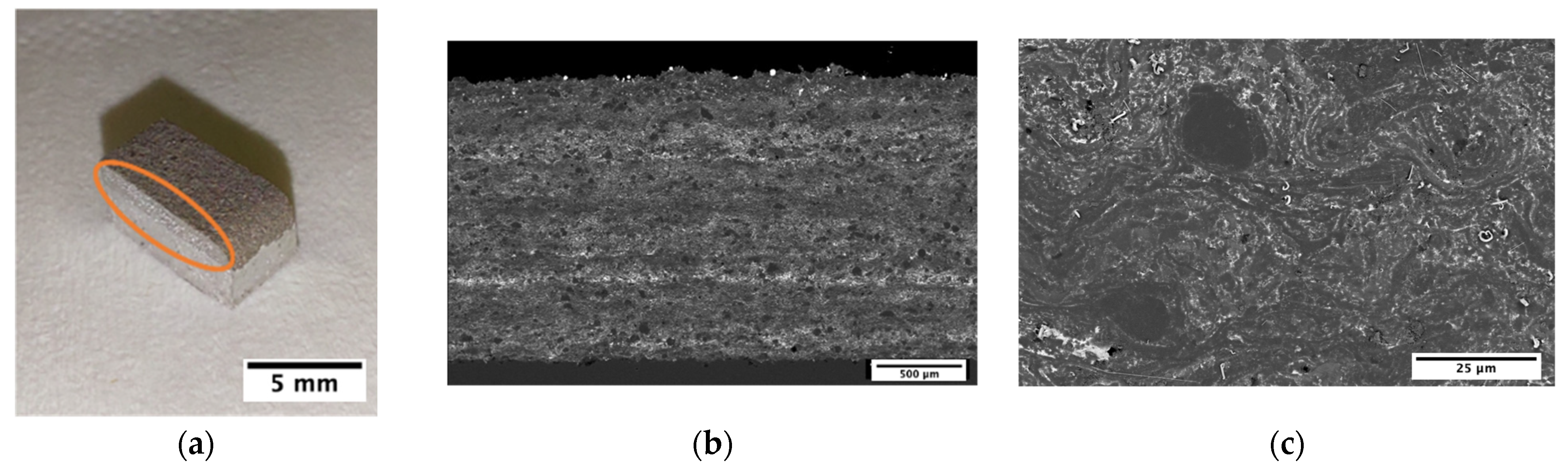 Metals 14 01414 g009