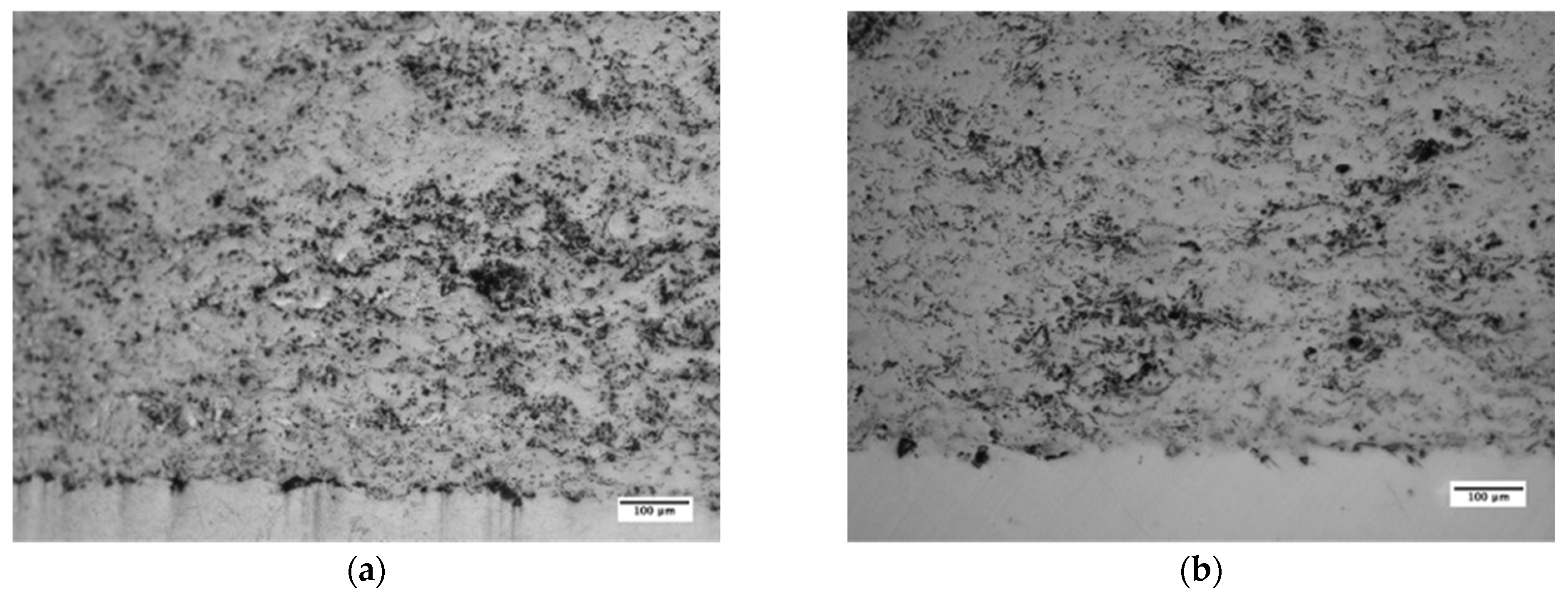 Metals 14 01414 g010