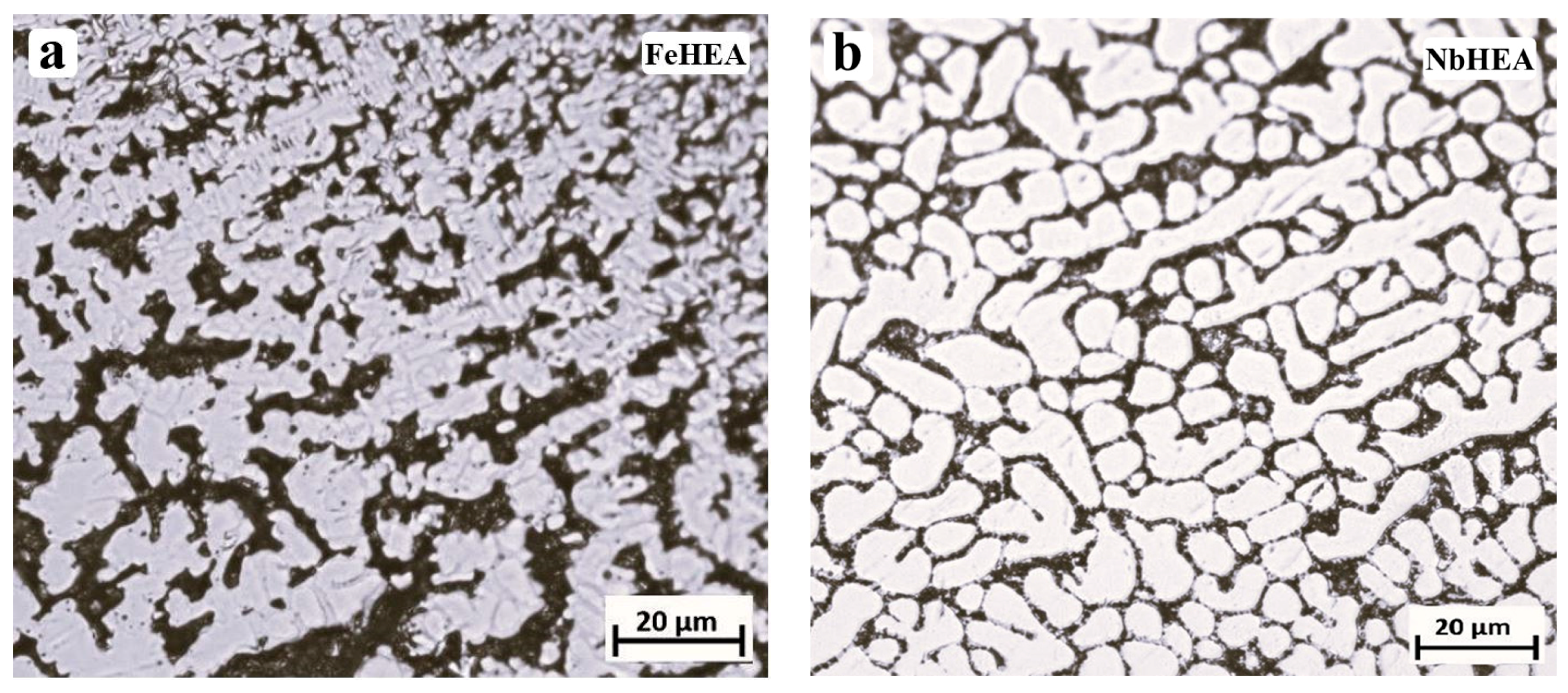 Metals 14 01430 g001