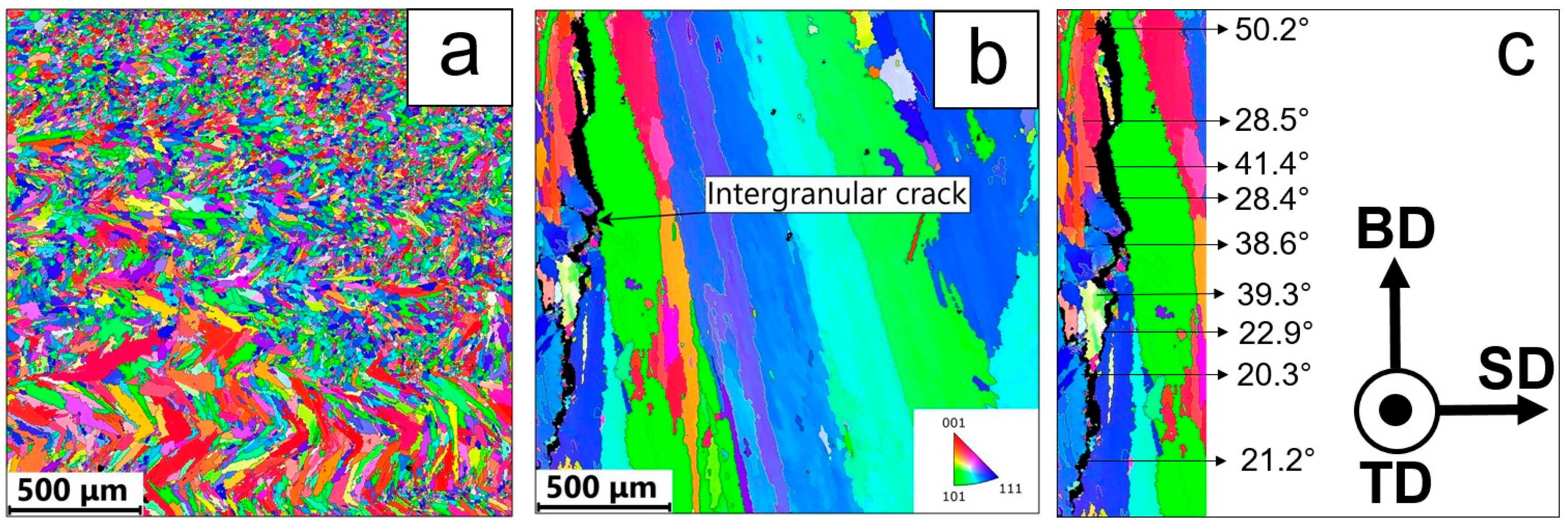 Metals 14 01434 g004