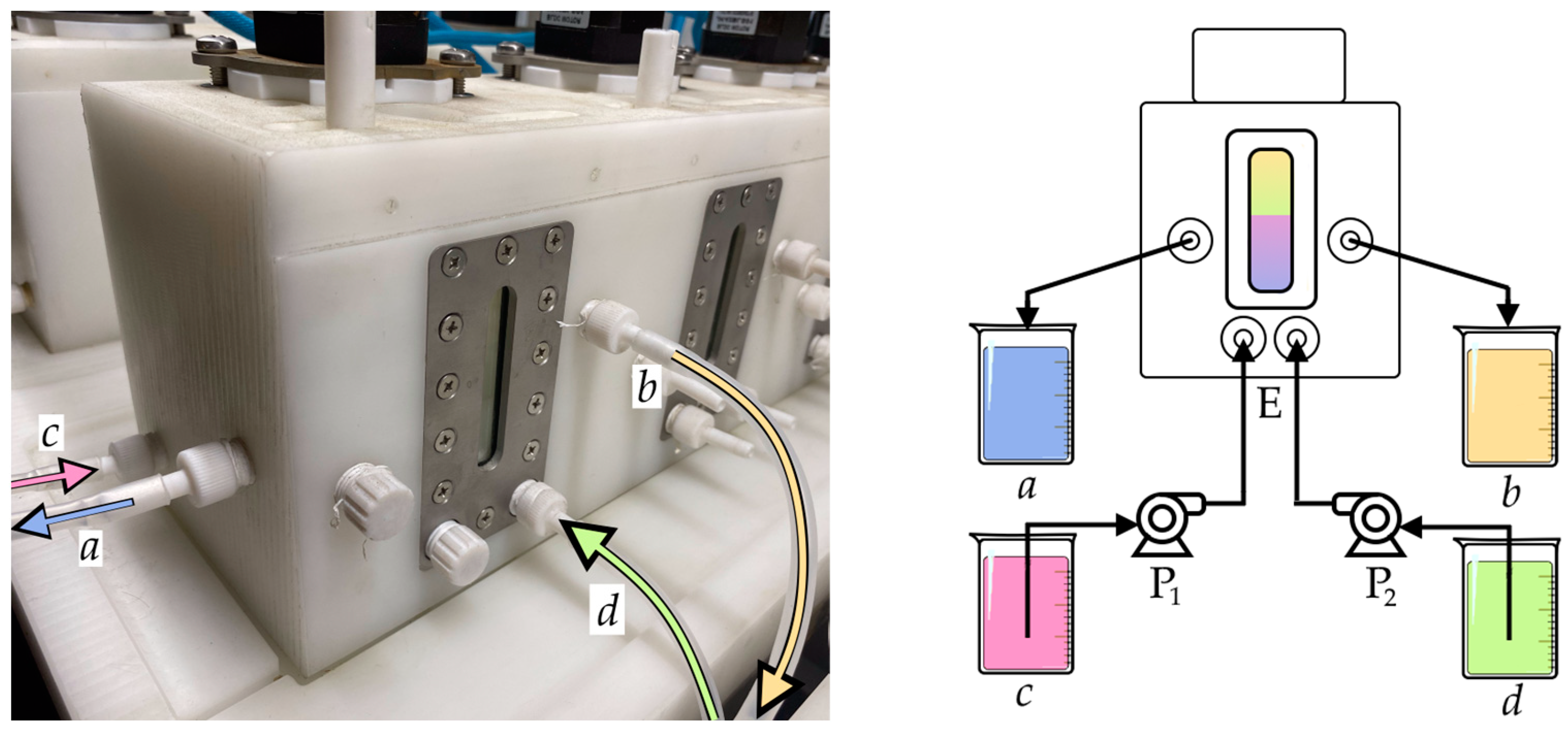 Metals 14 01441 g001