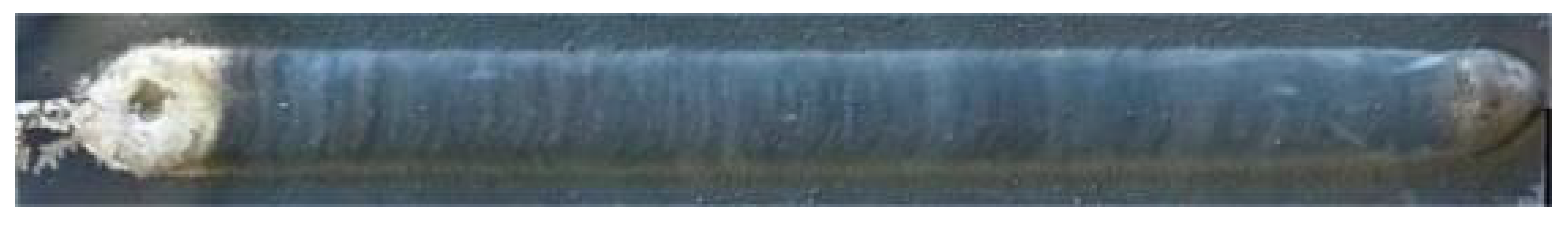 Metals 14 01443 i004