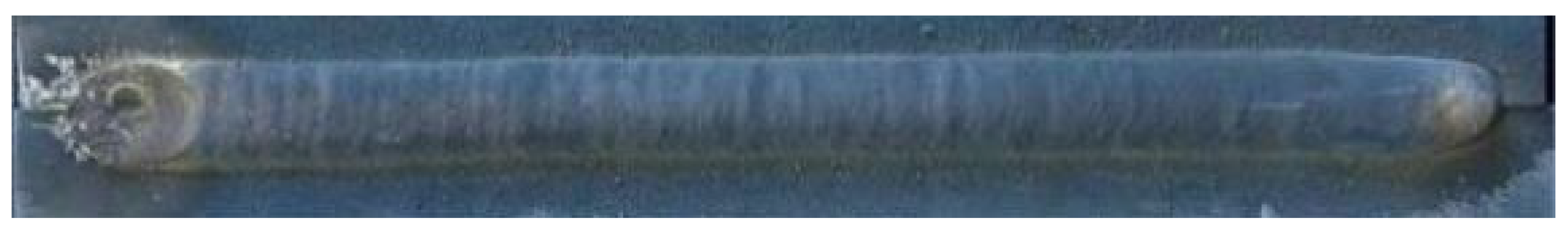 Metals 14 01443 i005