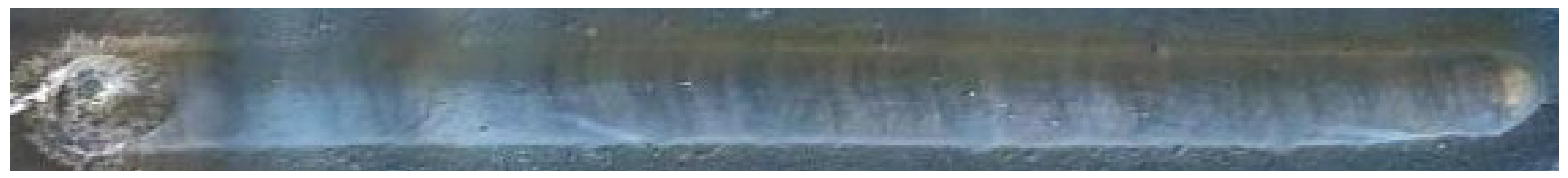 Metals 14 01443 i007