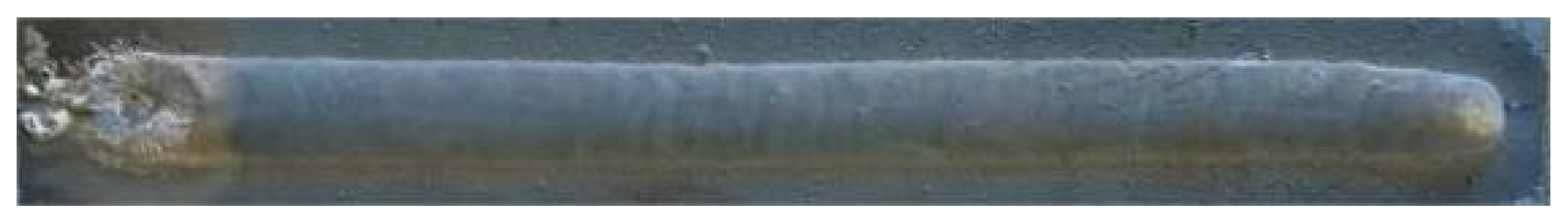 Metals 14 01443 i008