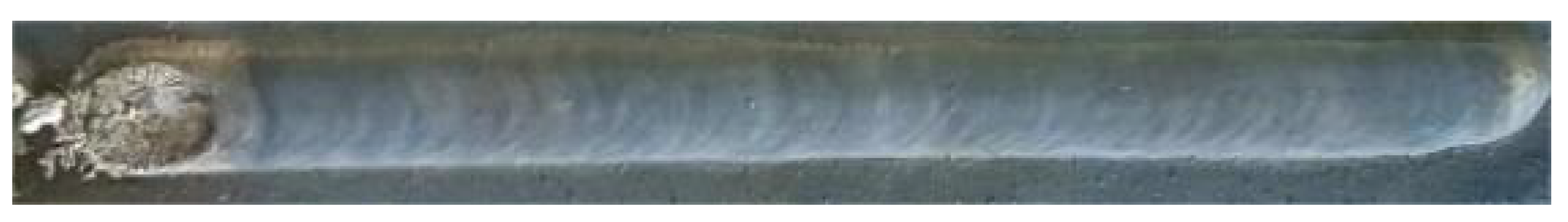 Metals 14 01443 i009