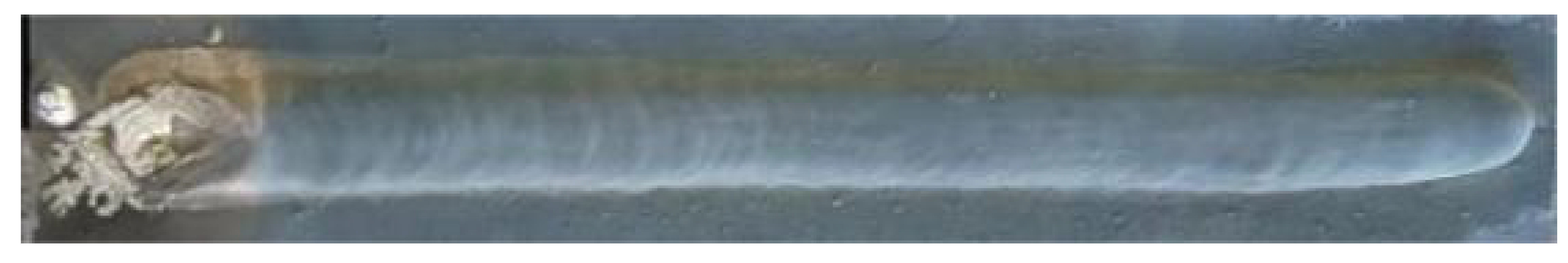 Metals 14 01443 i010