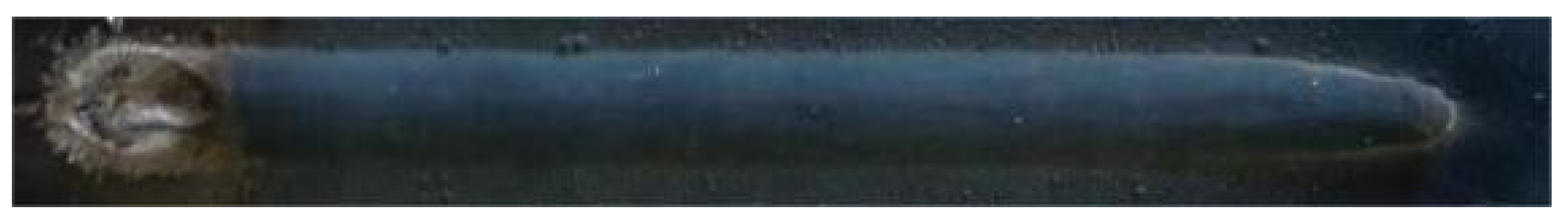 Metals 14 01443 i013