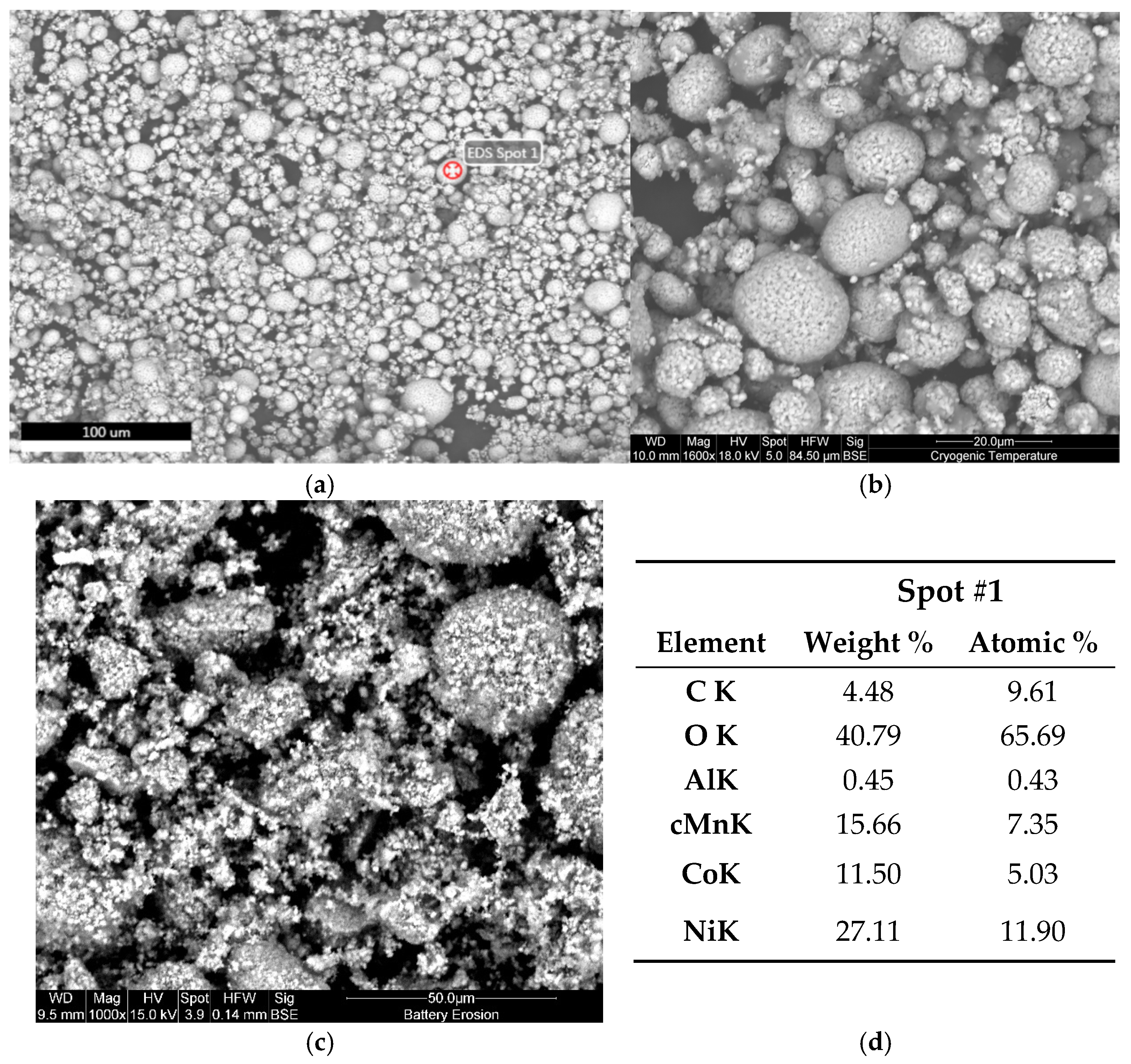 Metals 14 01466 g009