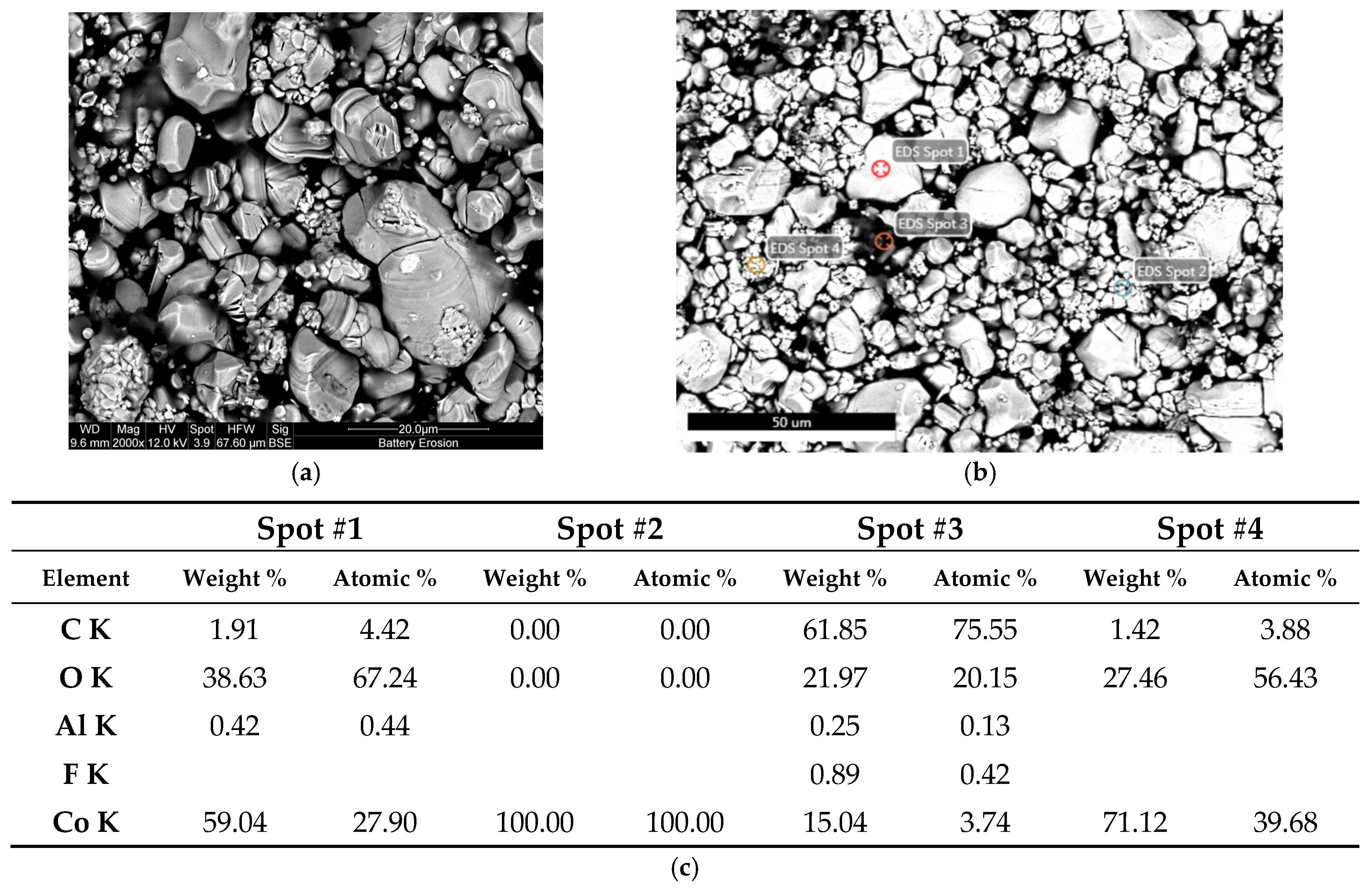 Metals 14 01466 g010