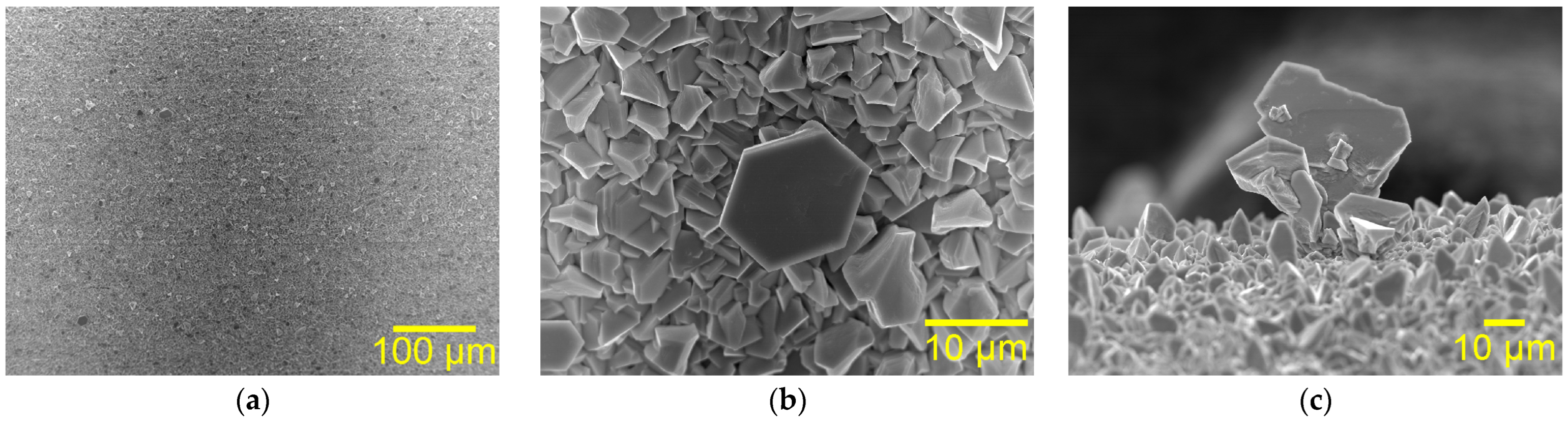 Correlation Between Morphology and Crystal Structure of ...