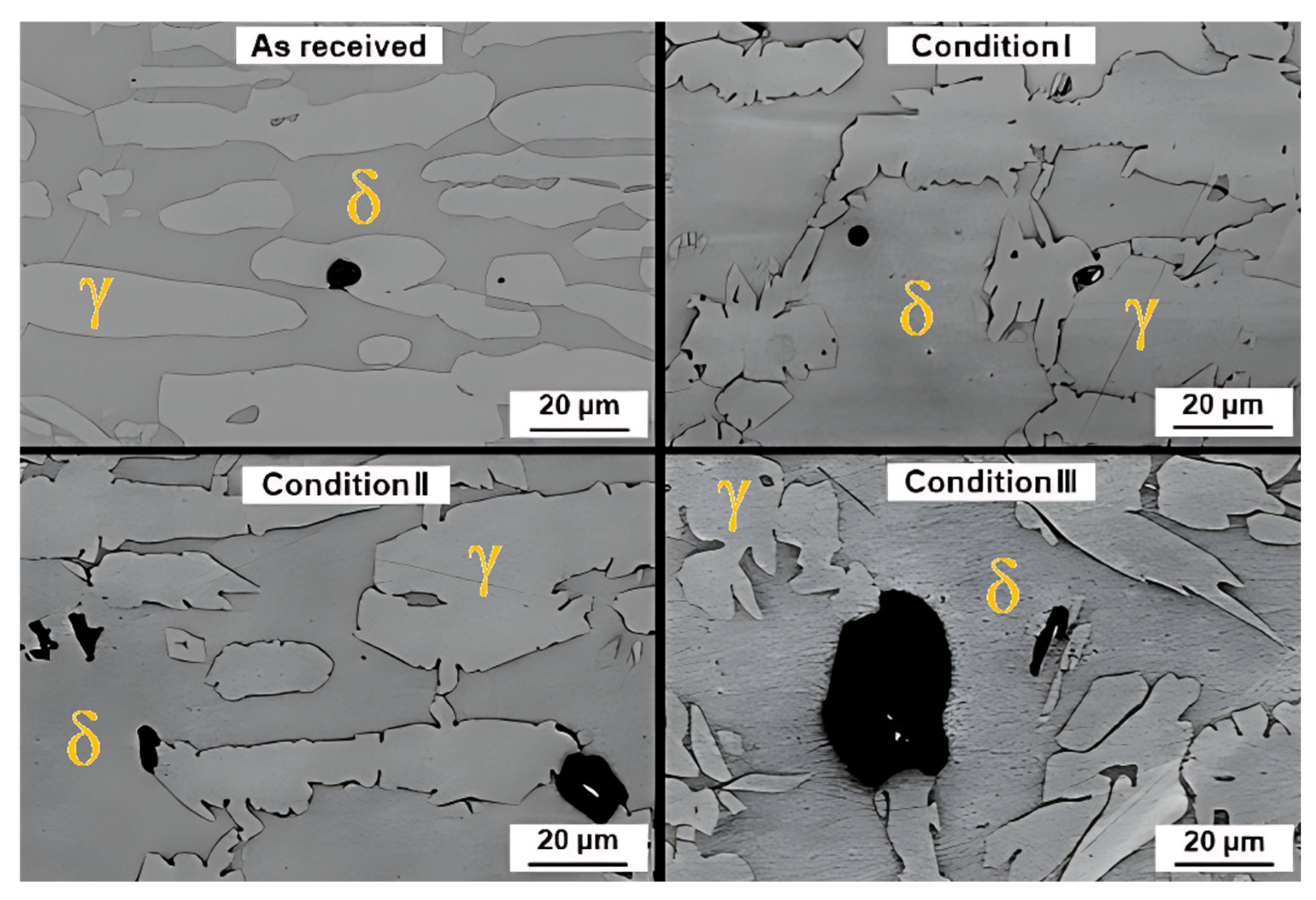 Metals 15 00002 g010