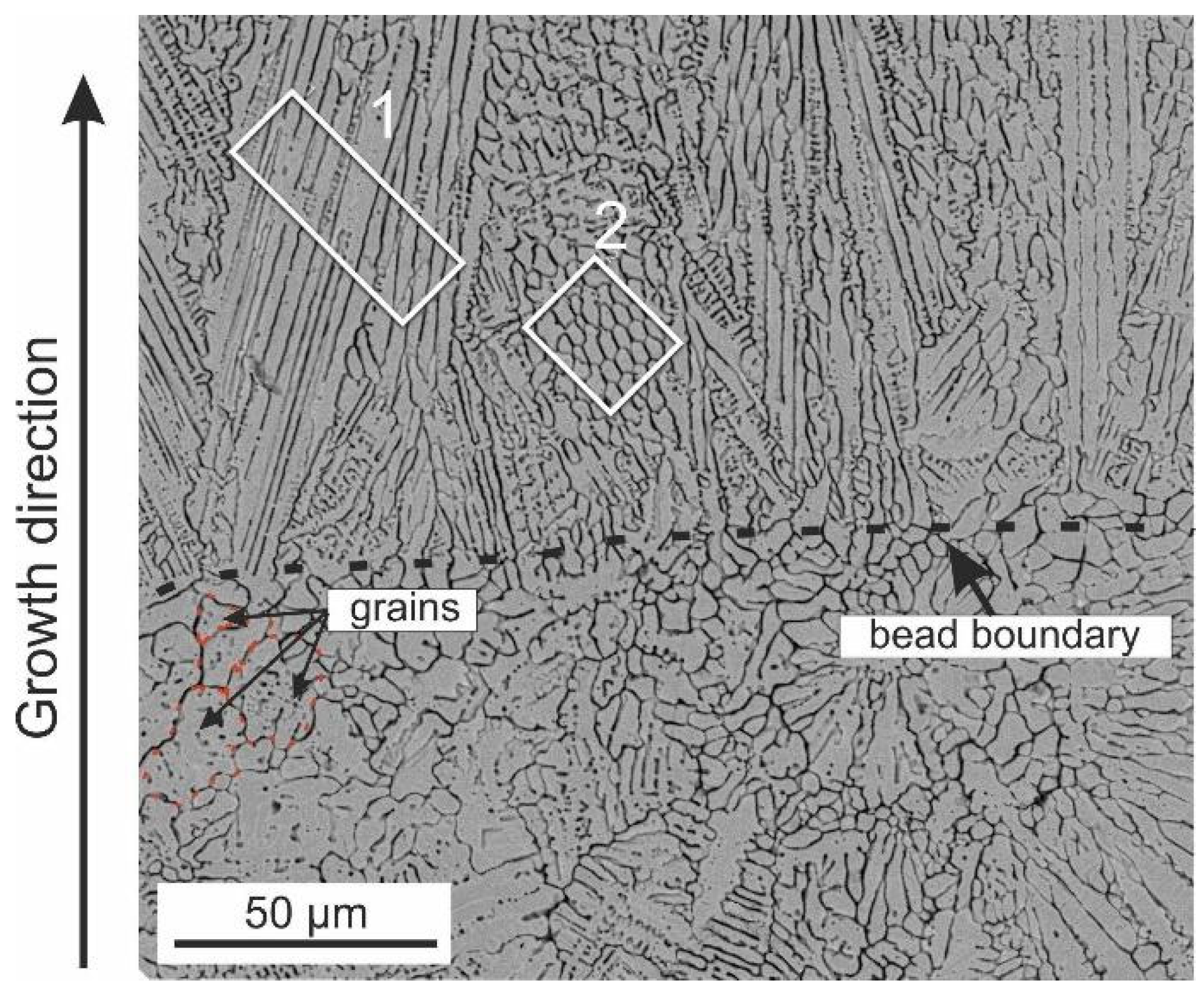 Metals 15 00026 g005