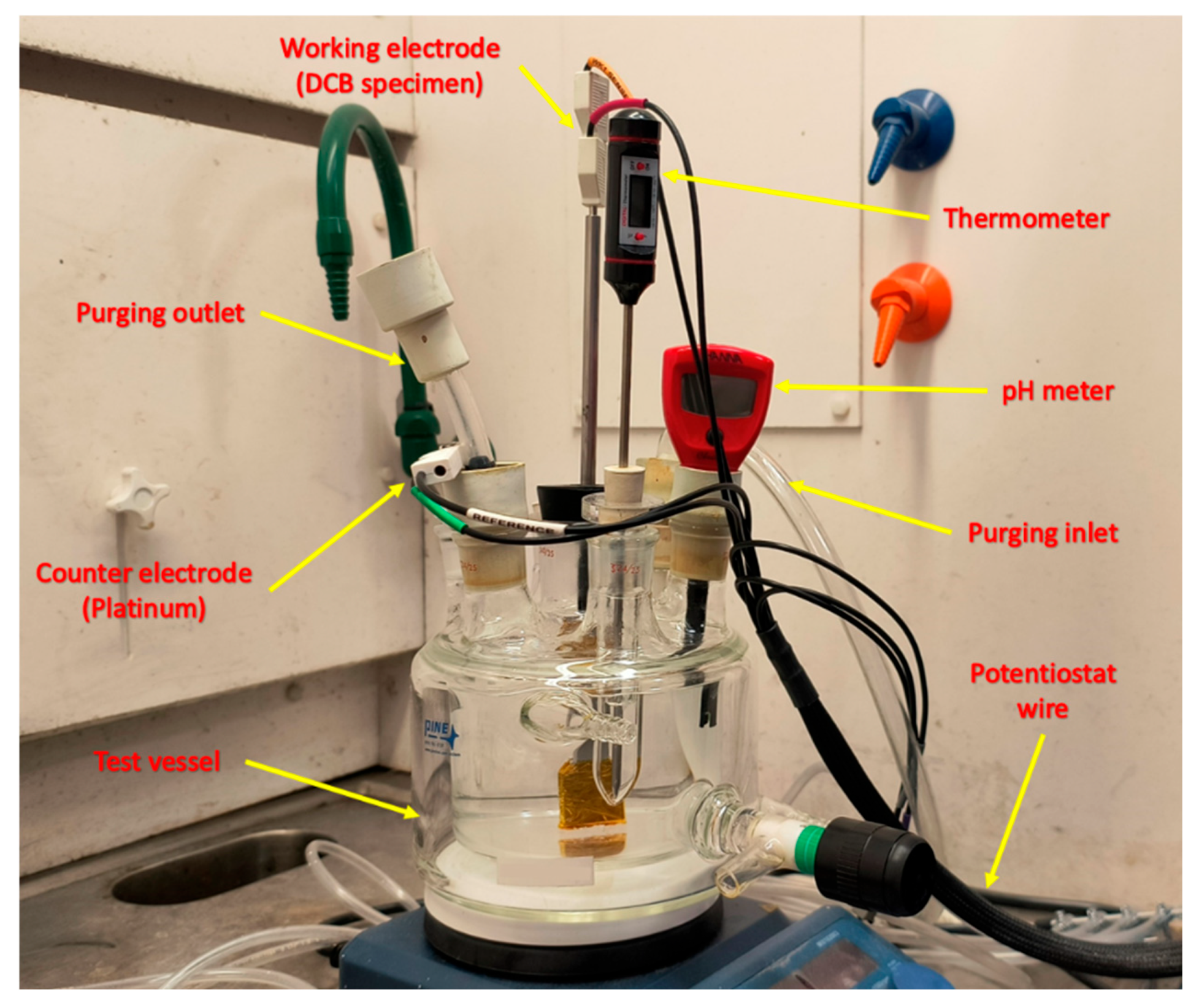 Metals 15 00029 g006