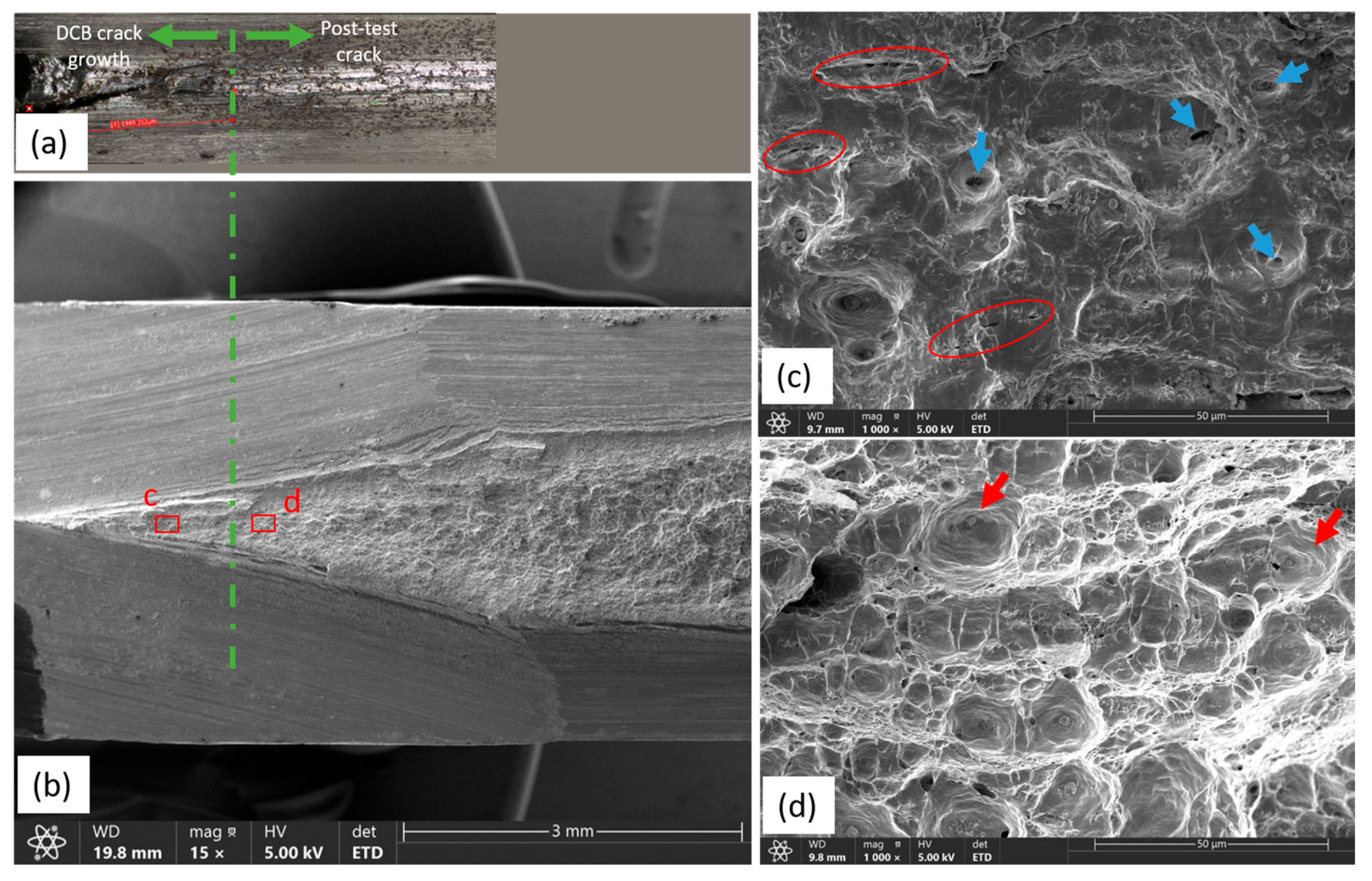 Metals 15 00029 g011