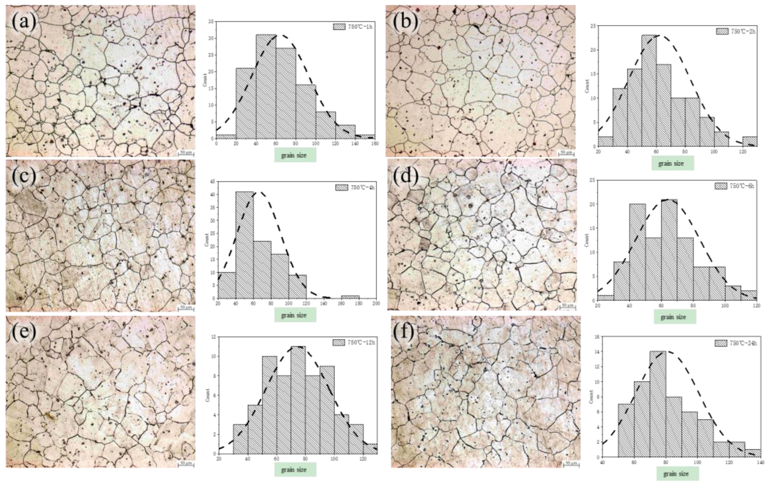 Metals 15 00061 g006