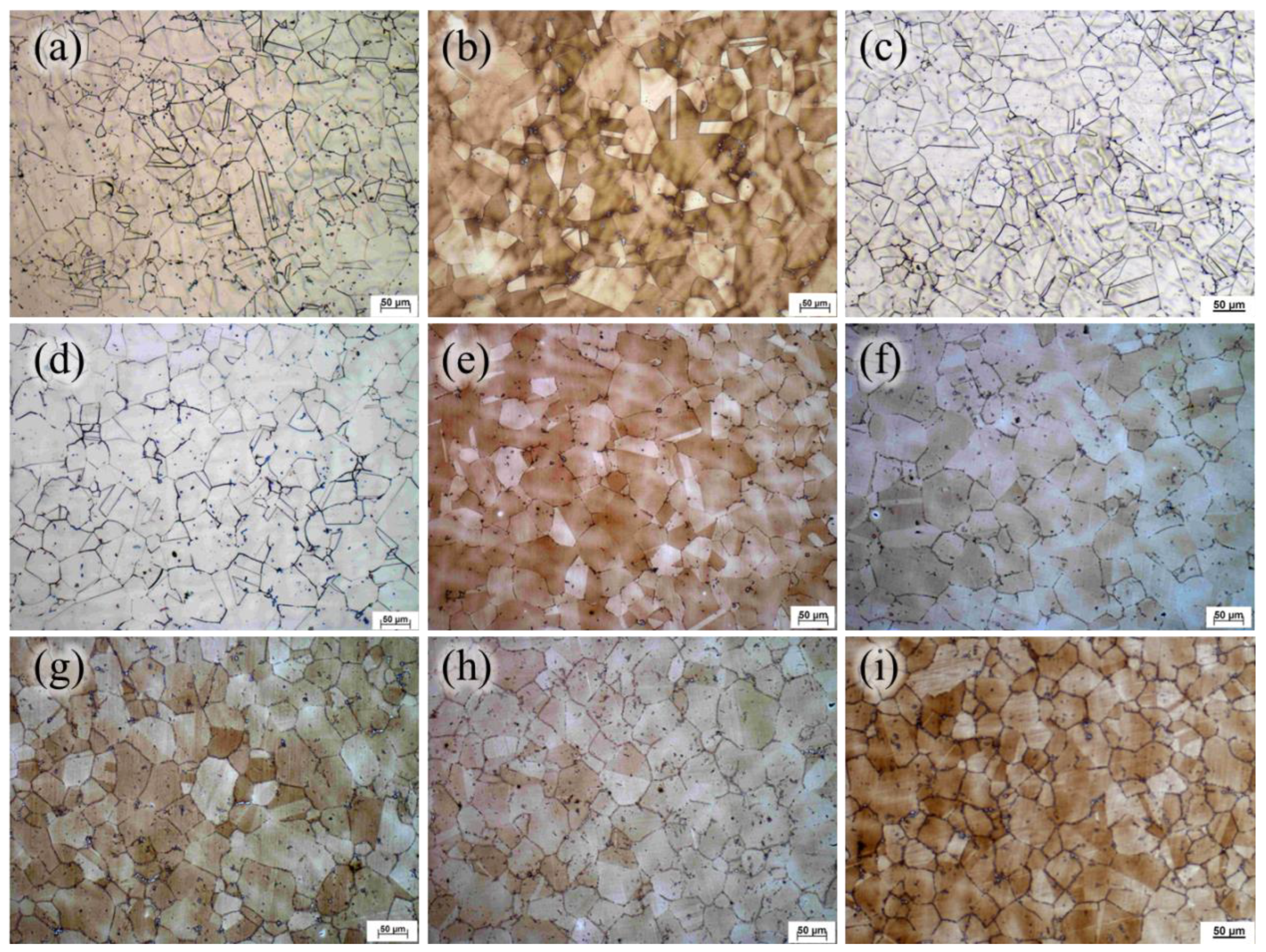 Metals 15 00061 g009