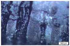 Metals 15 00063 i002