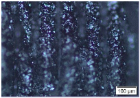 Metals 15 00063 i005