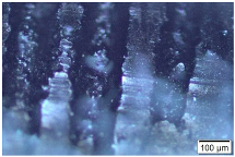 Metals 15 00063 i006