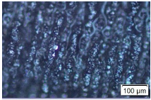 Metals 15 00063 i008