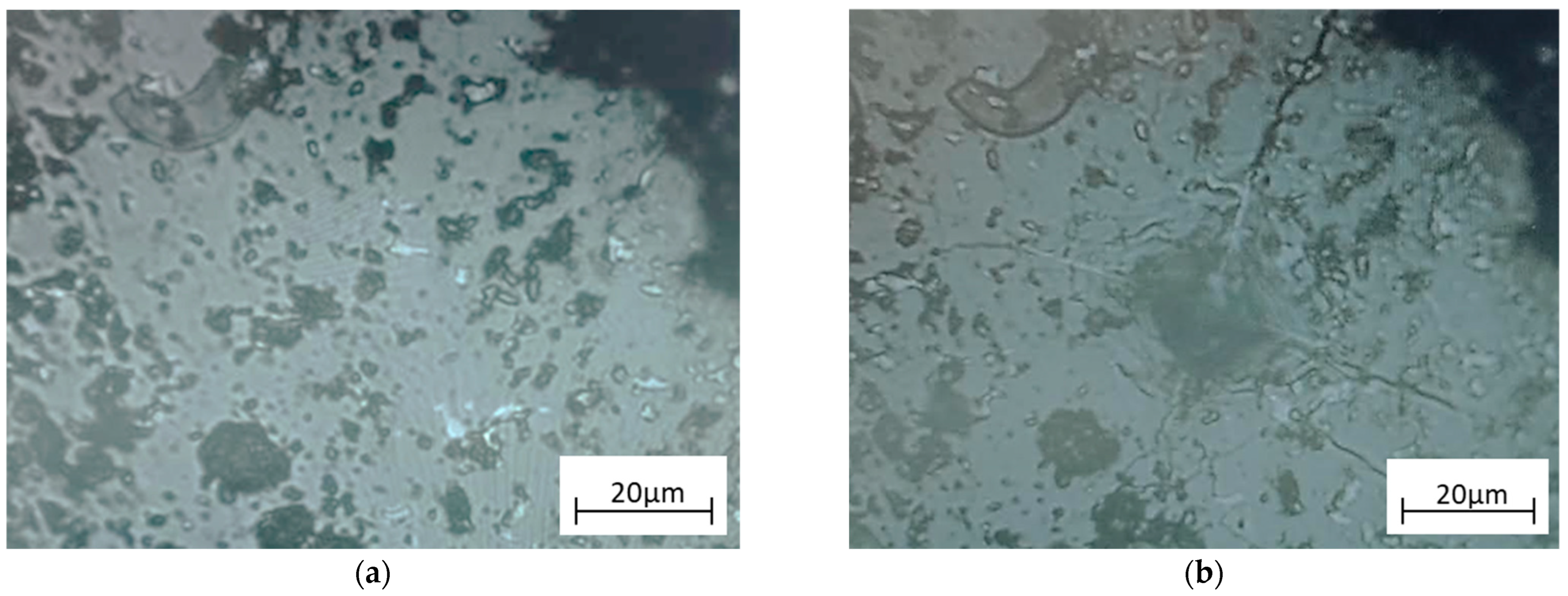 Metals 15 00079 g010