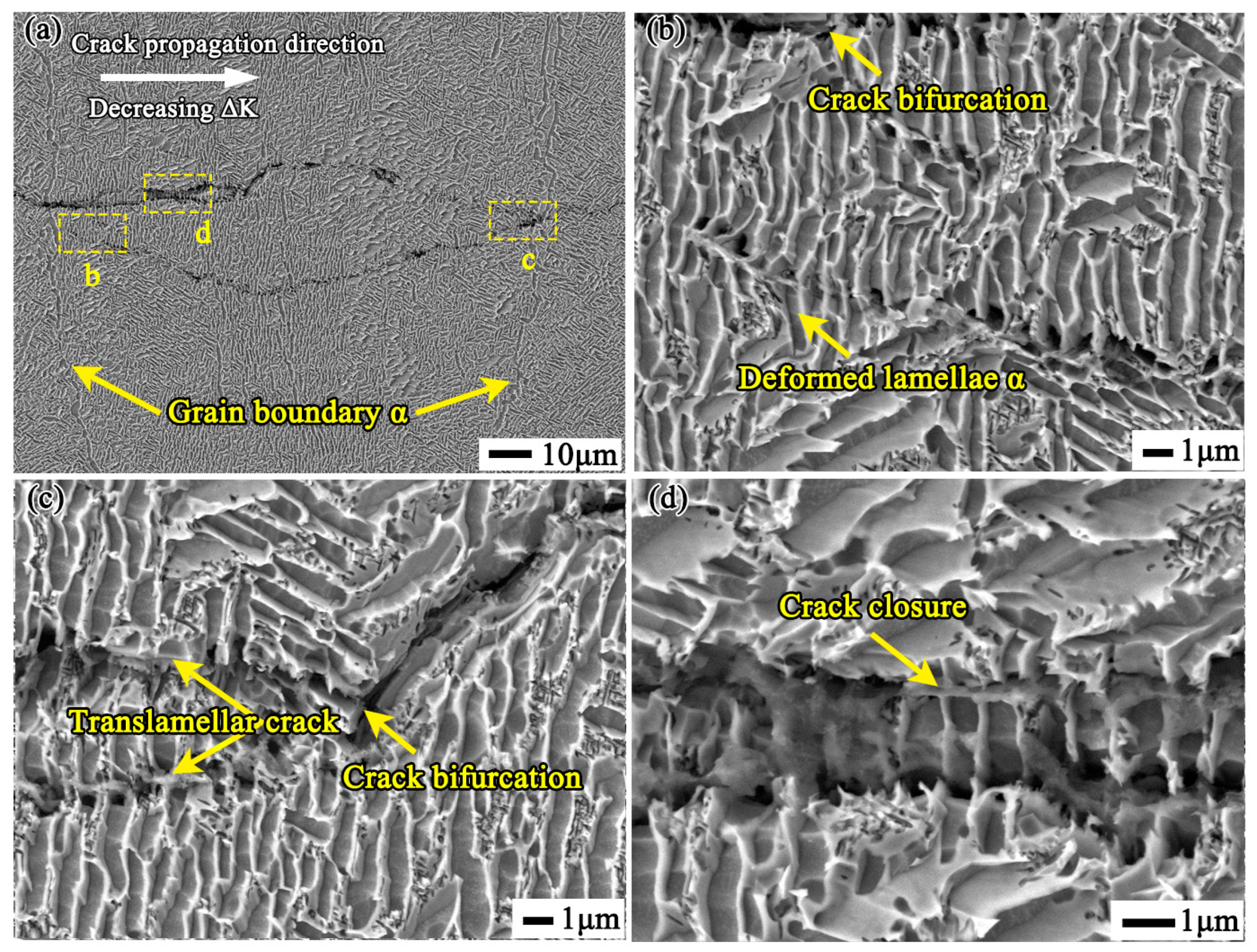 Metals 15 00084 g008