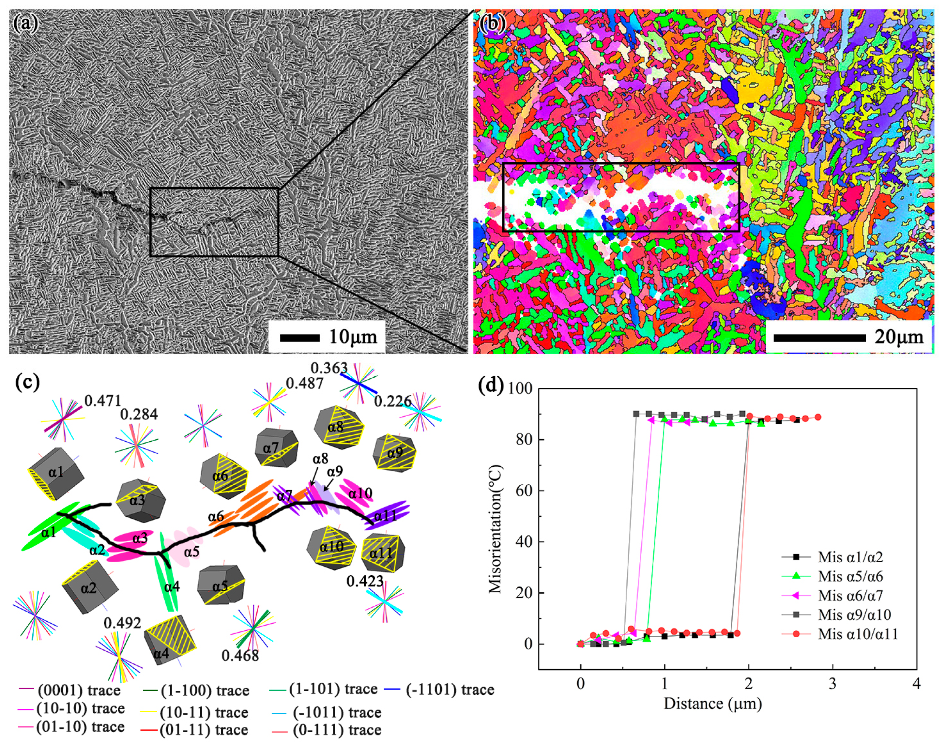 Metals 15 00084 g011