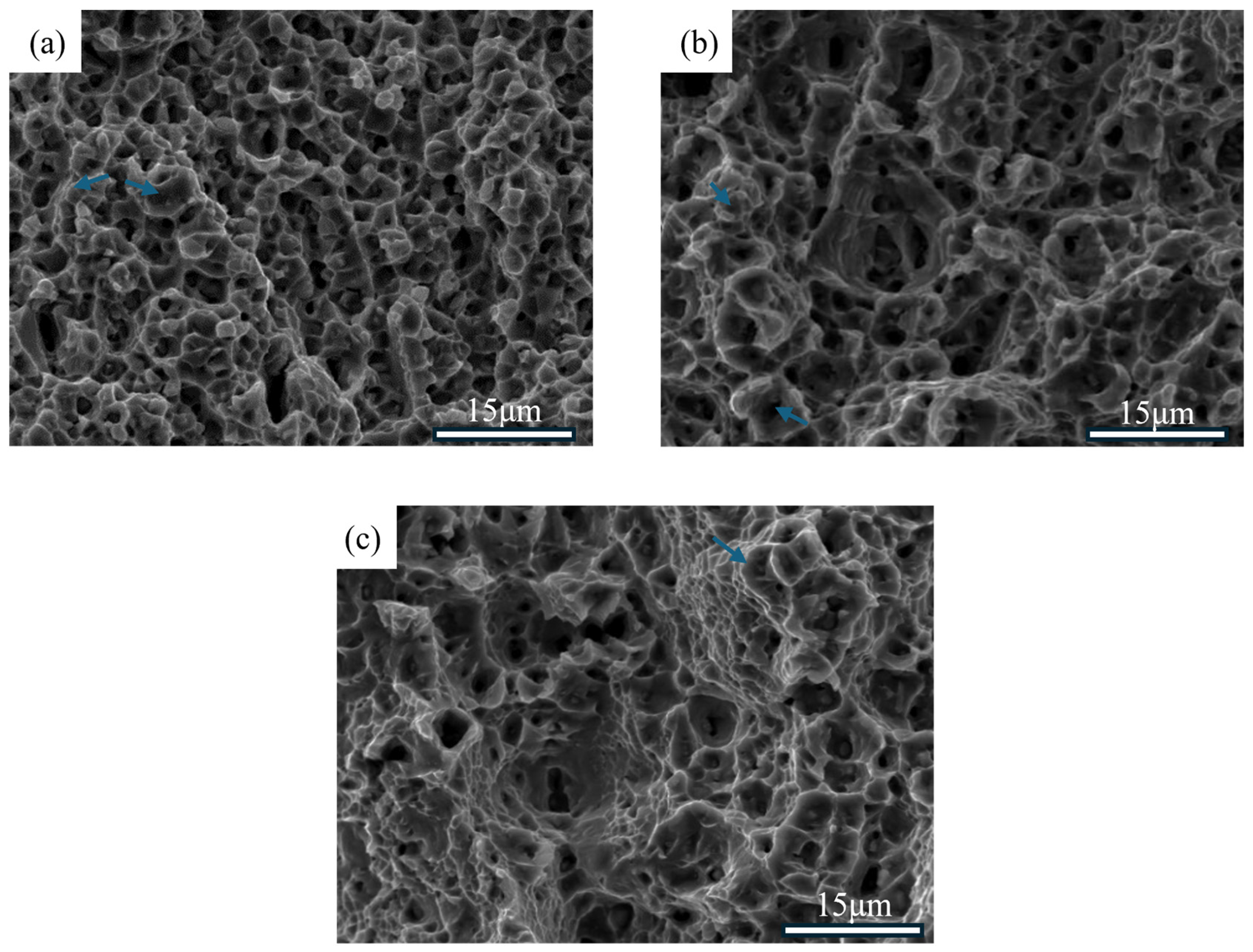 Metals 15 00102 g012