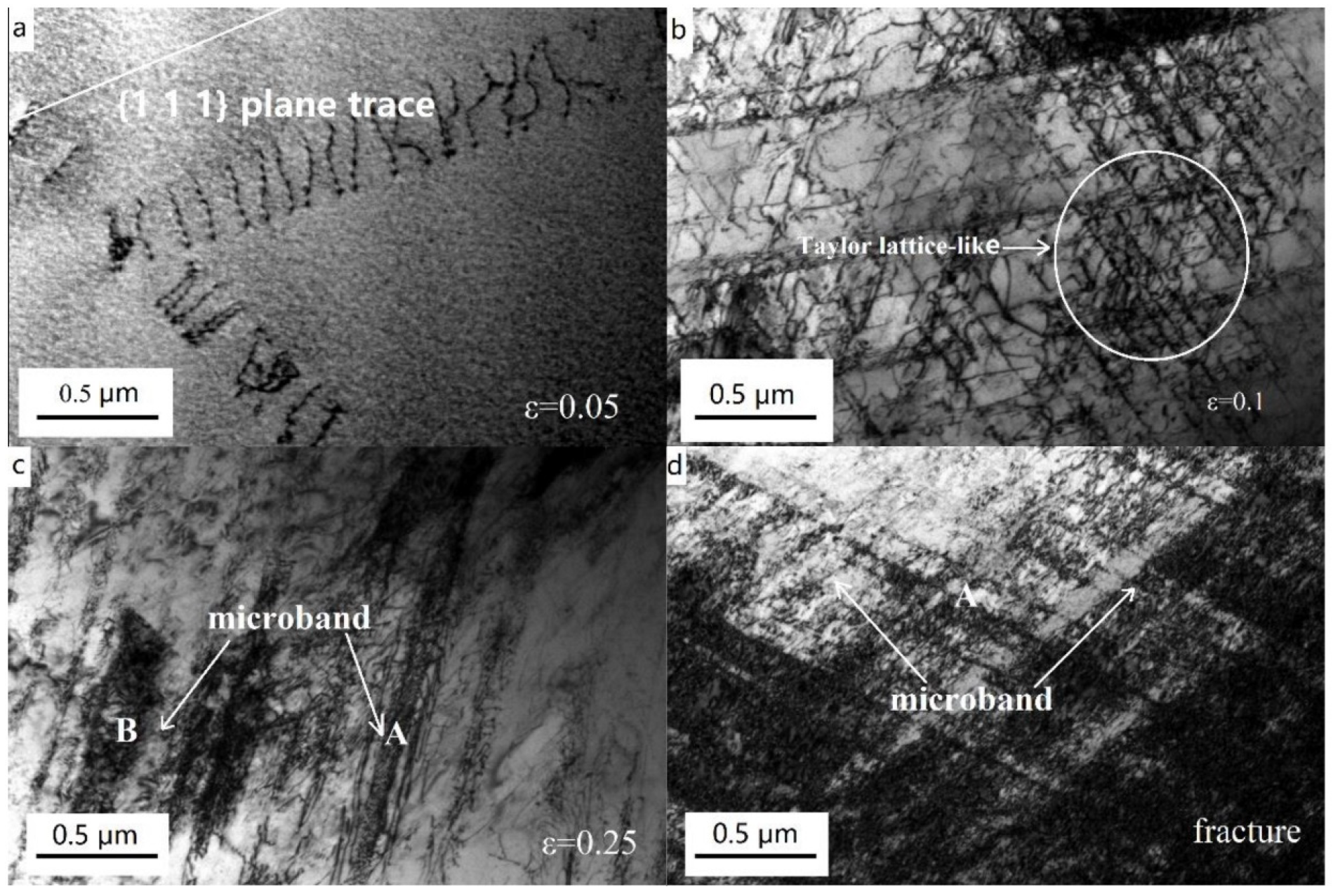 Metals 15 00102 g014