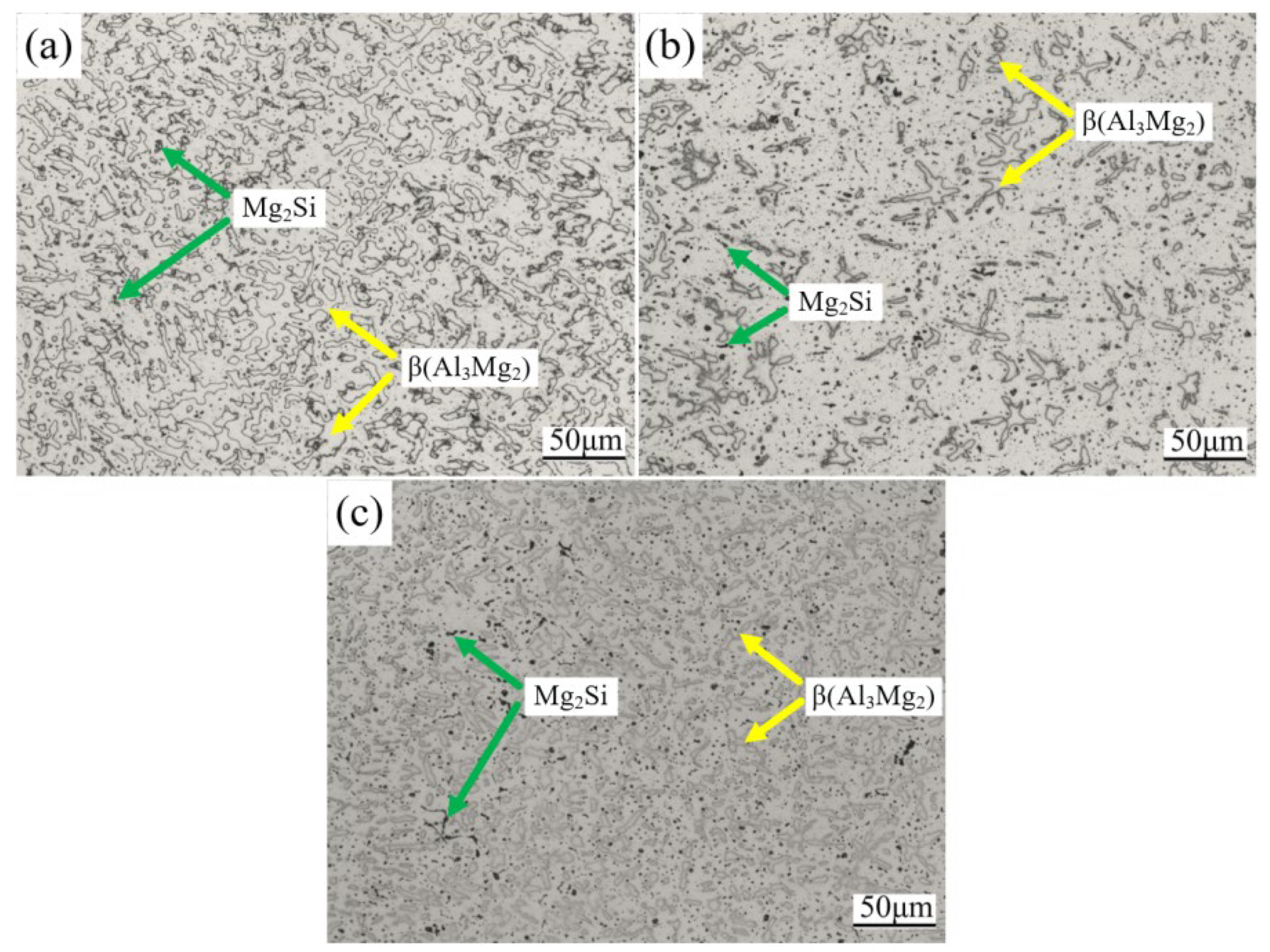 Metals 15 00116 g007