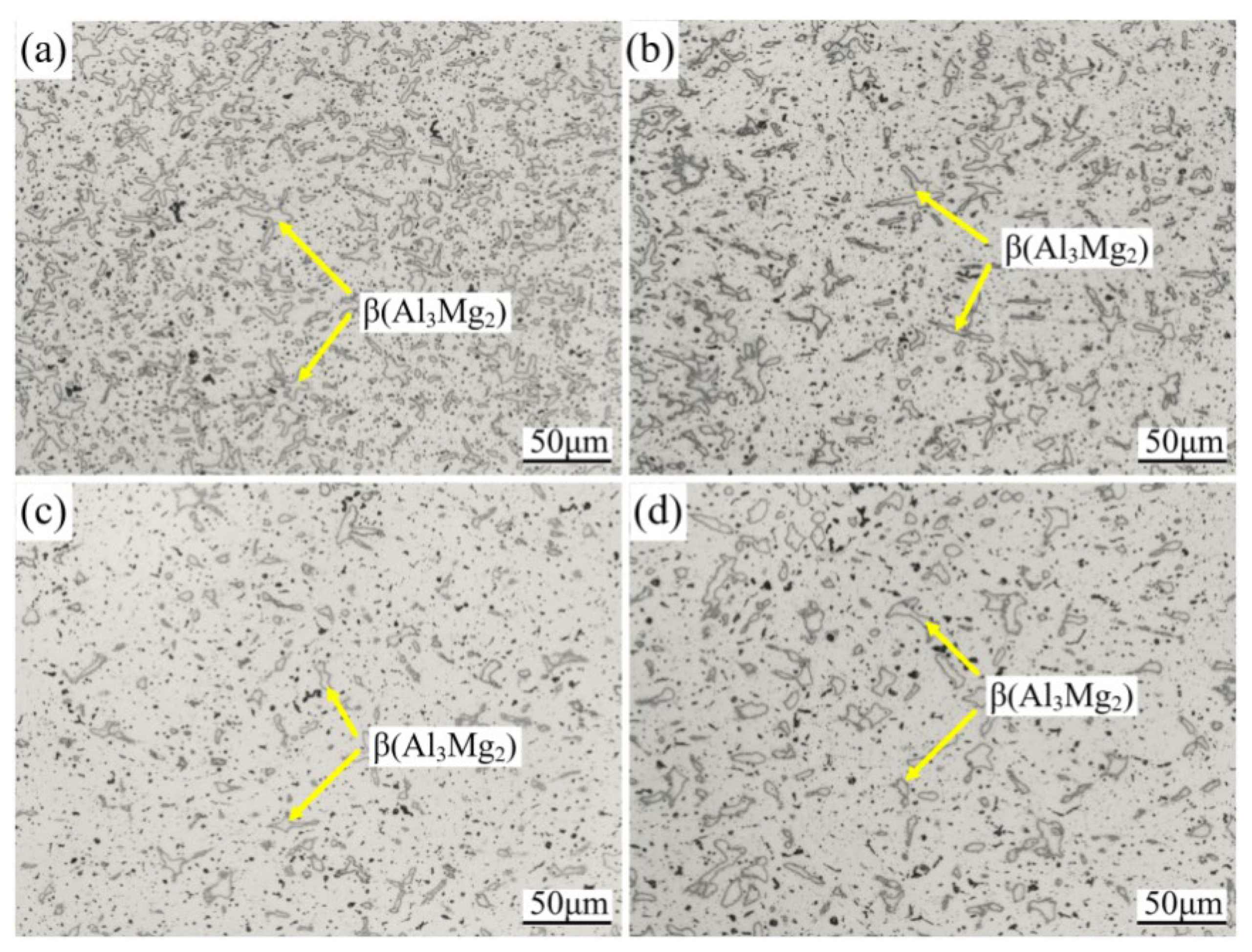 Metals 15 00116 g008