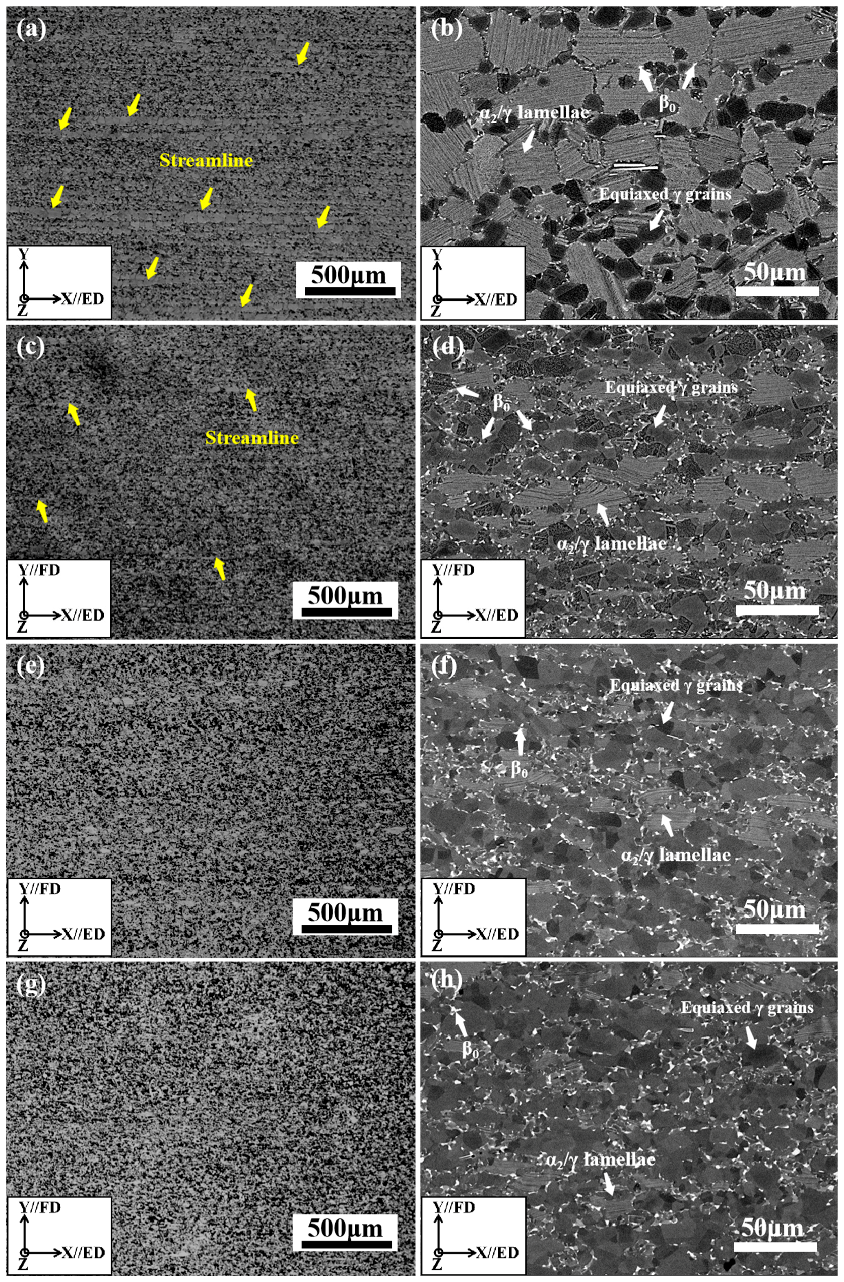 Metals 15 00123 g003