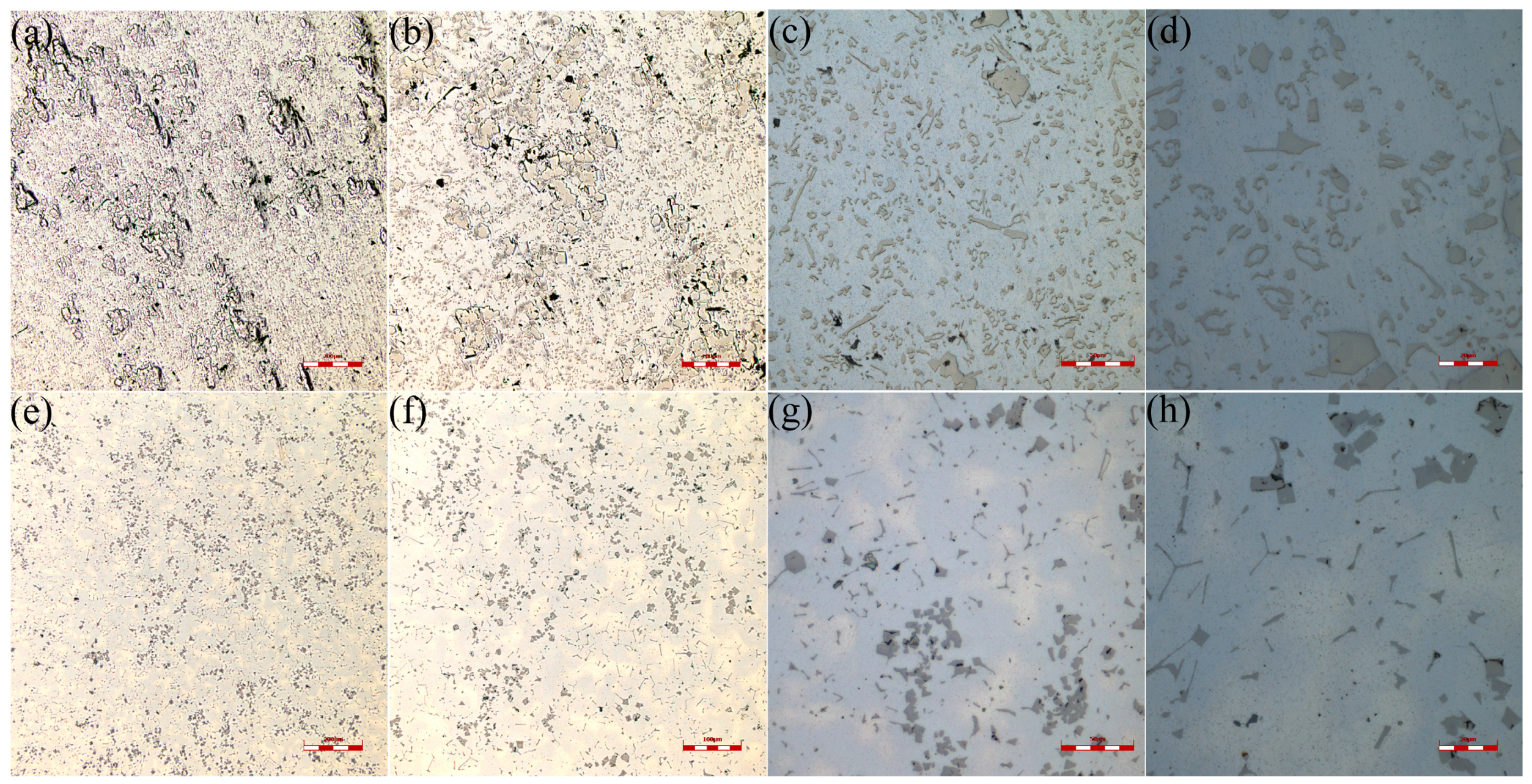 Metals 15 00129 g005