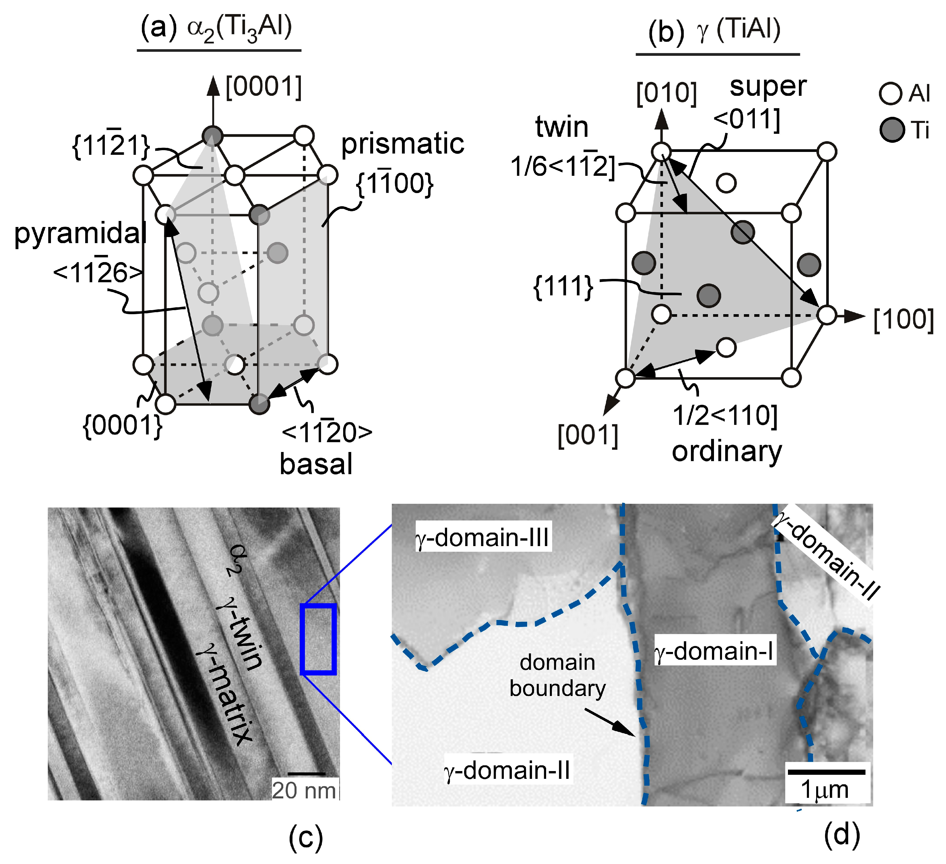 Metals 15 00132 g001
