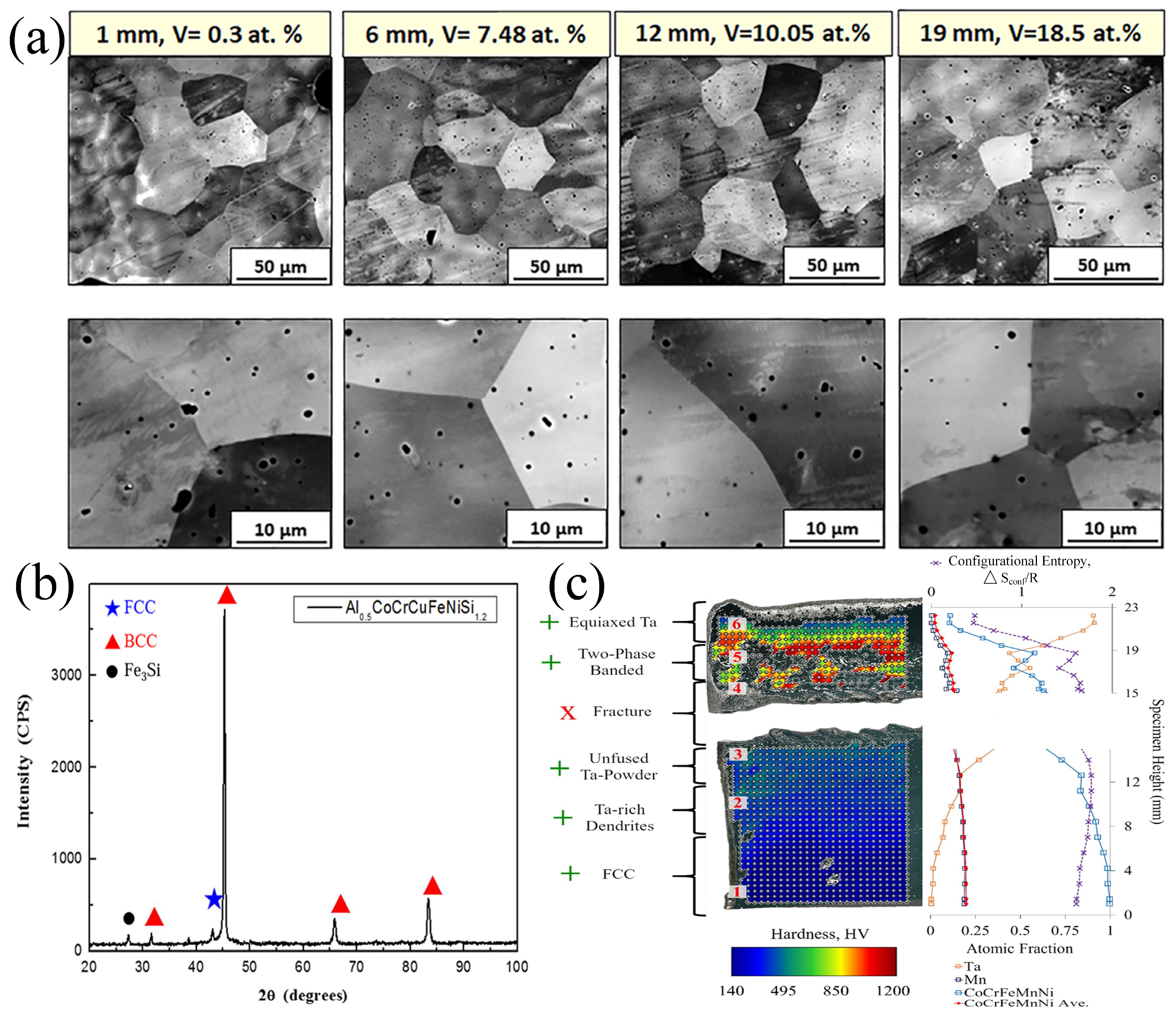 Metals 15 00136 g012