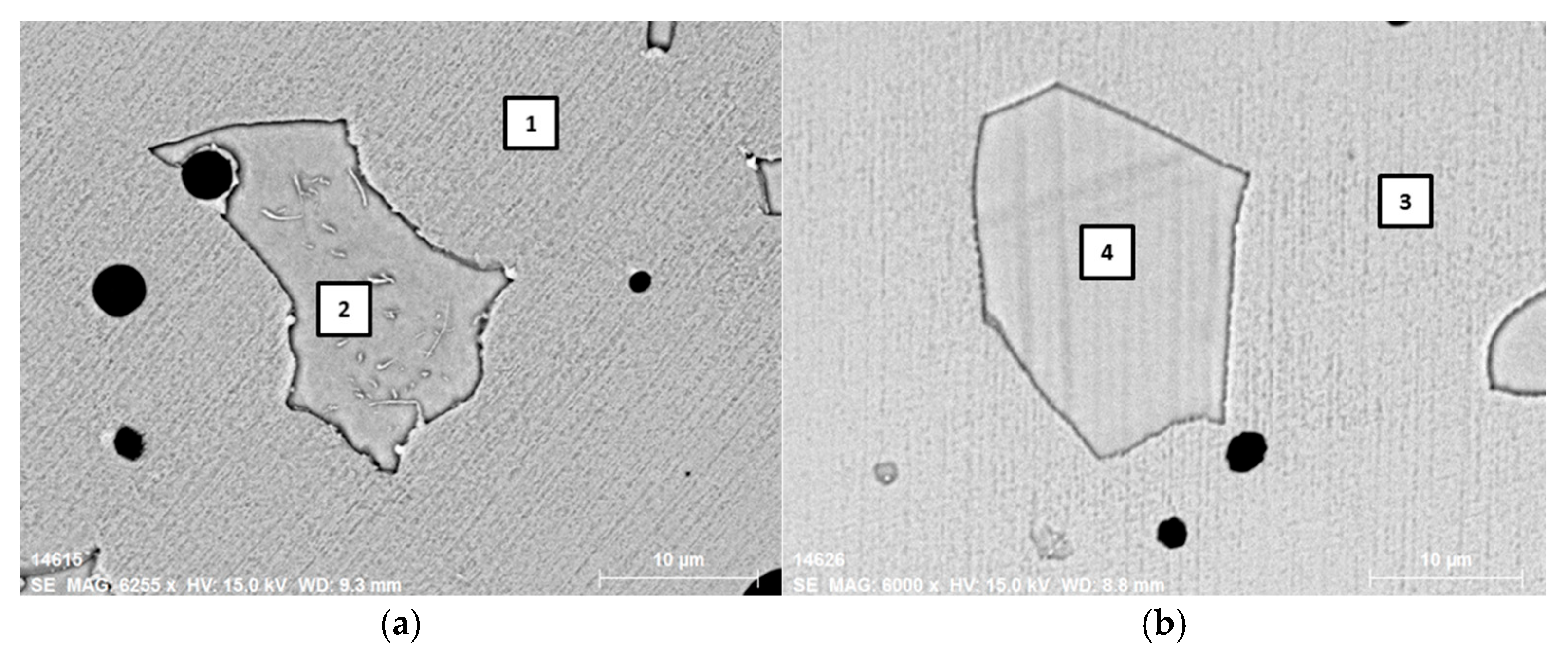 Metals 15 00137 g005a