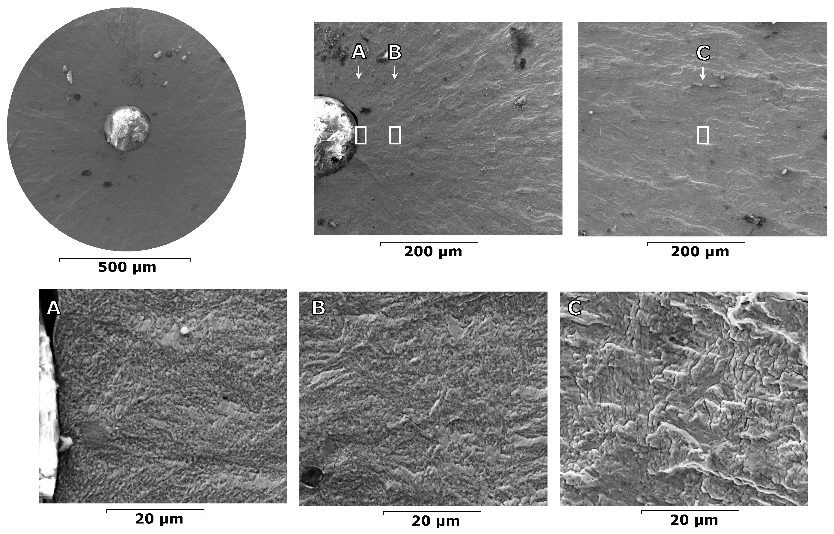 Metals 15 00152 g022