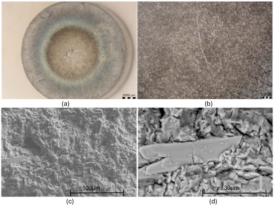 Metals 15 00161 g017